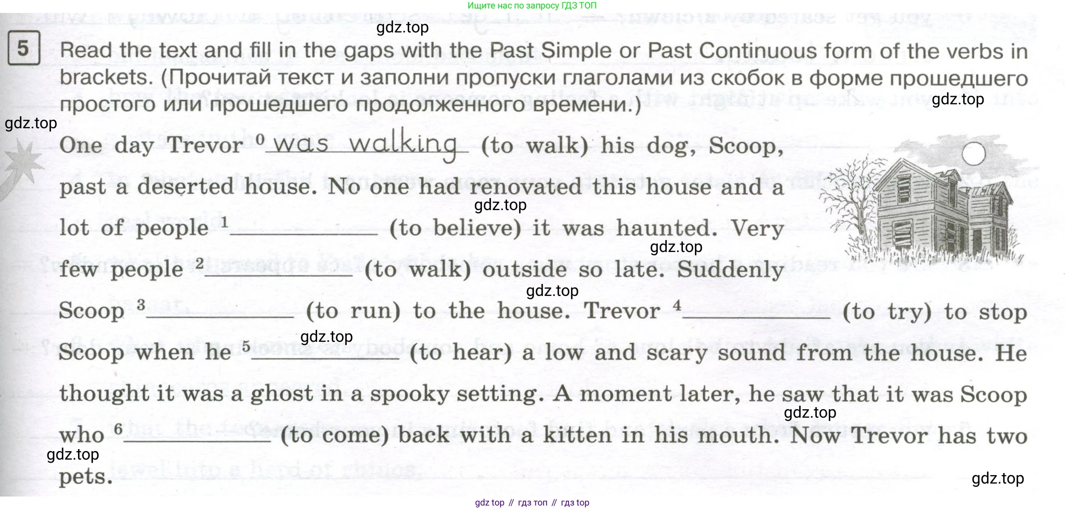 Английский язык (english), 7 класс Практикум, авторы: Вербицкая Мария Валерьевна (Verbitskaya Maria), Лубина Елена Назимовна (Lubina Elena), издательство Просвещение, Москва, 2020, страница 47, номер 5, Условие