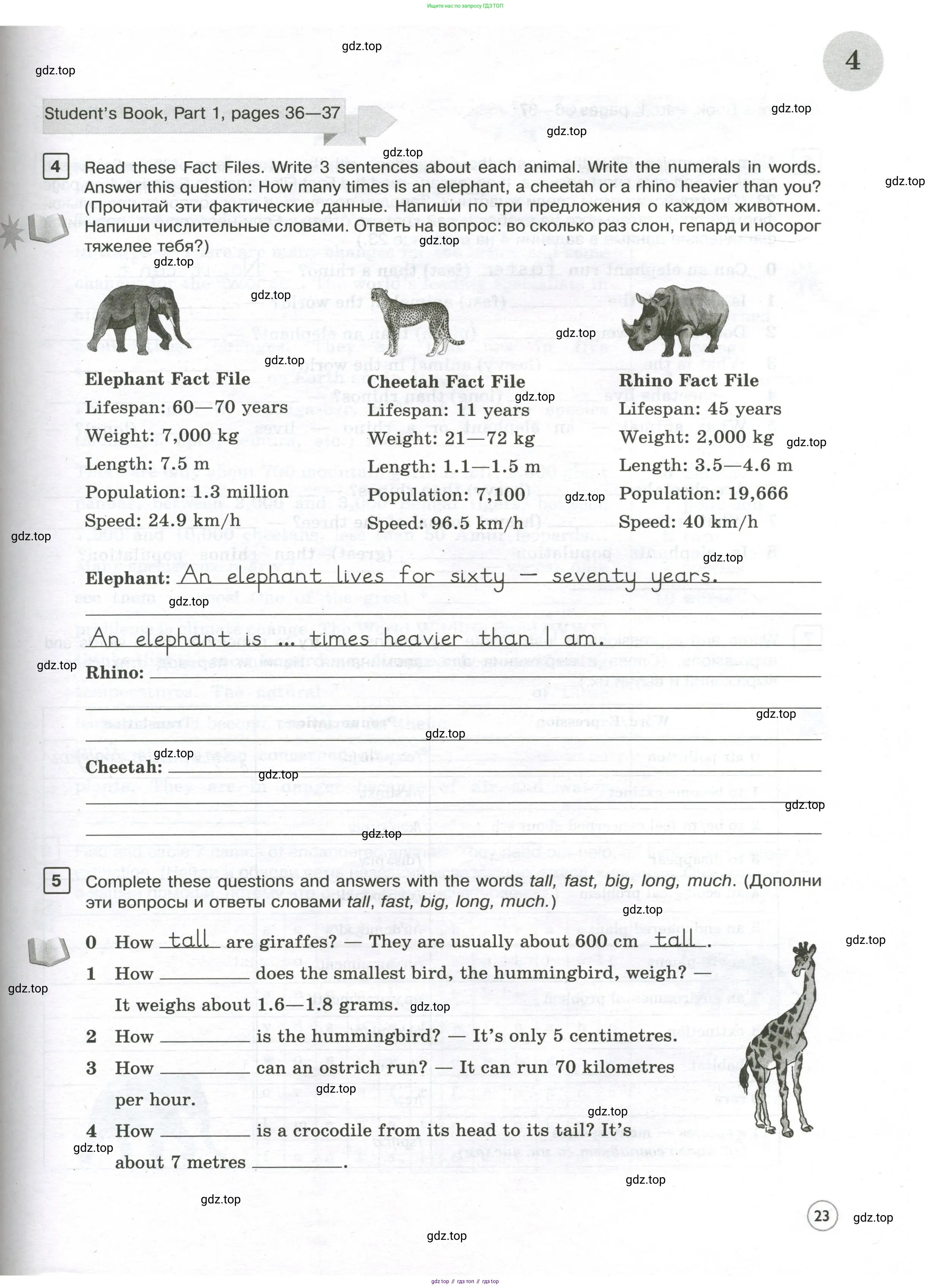 Английский язык (english), 7 класс Практикум, авторы: Вербицкая Мария Валерьевна (Verbitskaya Maria), Лубина Елена Назимовна (Lubina Elena), издательство Просвещение, Москва, 2020, страница 23