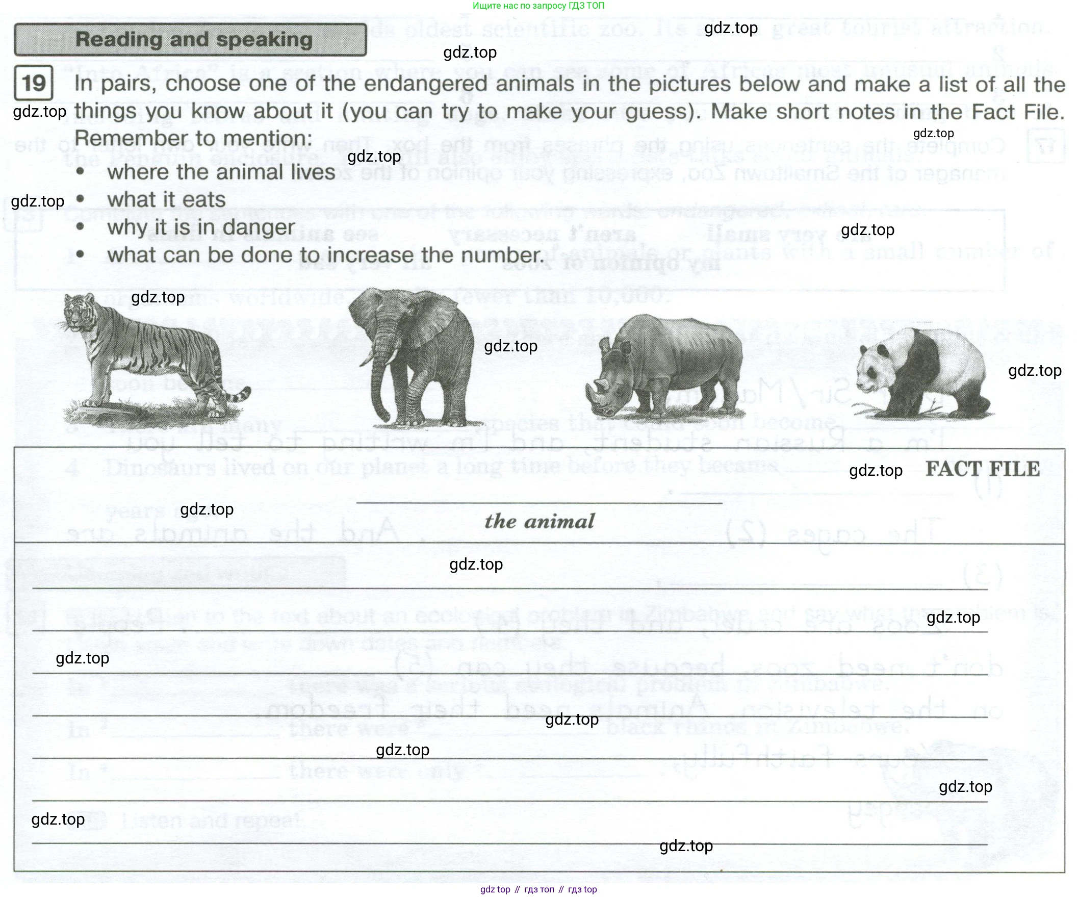 Английский язык (english), 7 класс Рабочая тетрадь (workbook), авторы: Вербицкая Мария Валерьевна (Verbitskaya Maria), Гаярделли Мариса (Gaiardelli Marisa ), Редли Пауль (Radley Paul), Миндрул Ольга Сергеевна (Mindrul Olga), издательство Просвещение, Москва, 2021, белого цвета, страница 30, номер 19, Условие