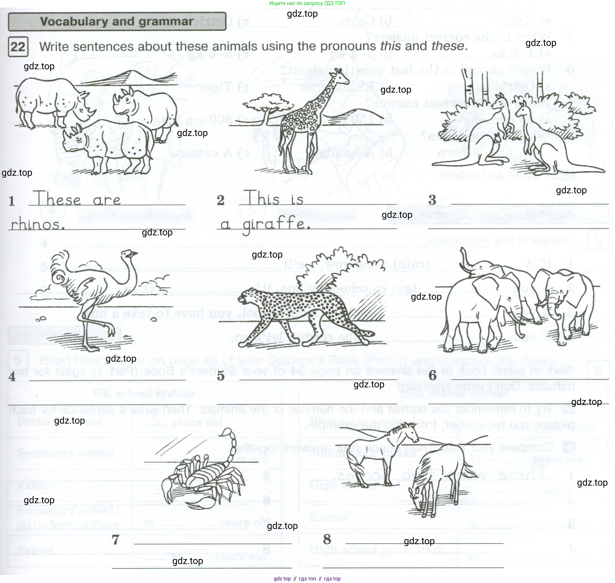 Английский язык (english), 7 класс Рабочая тетрадь (workbook), авторы: Вербицкая Мария Валерьевна (Verbitskaya Maria), Гаярделли Мариса (Gaiardelli Marisa ), Редли Пауль (Radley Paul), Миндрул Ольга Сергеевна (Mindrul Olga), издательство Просвещение, Москва, 2021, белого цвета, страница 31, номер 22, Условие