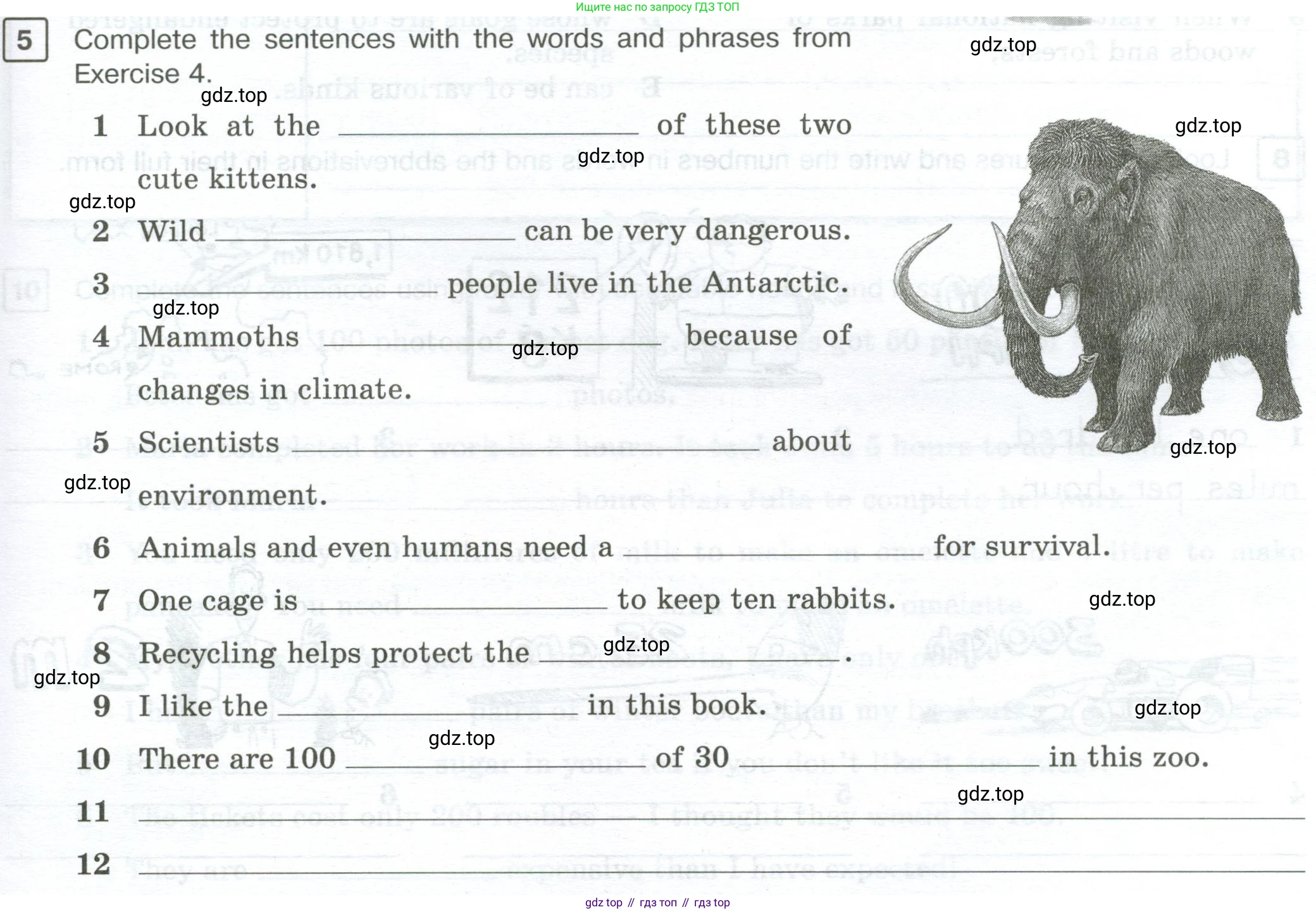 Английский язык (english), 7 класс Рабочая тетрадь (workbook), авторы: Вербицкая Мария Валерьевна (Verbitskaya Maria), Гаярделли Мариса (Gaiardelli Marisa ), Редли Пауль (Radley Paul), Миндрул Ольга Сергеевна (Mindrul Olga), издательство Просвещение, Москва, 2021, белого цвета, страница 25, номер 5, Условие