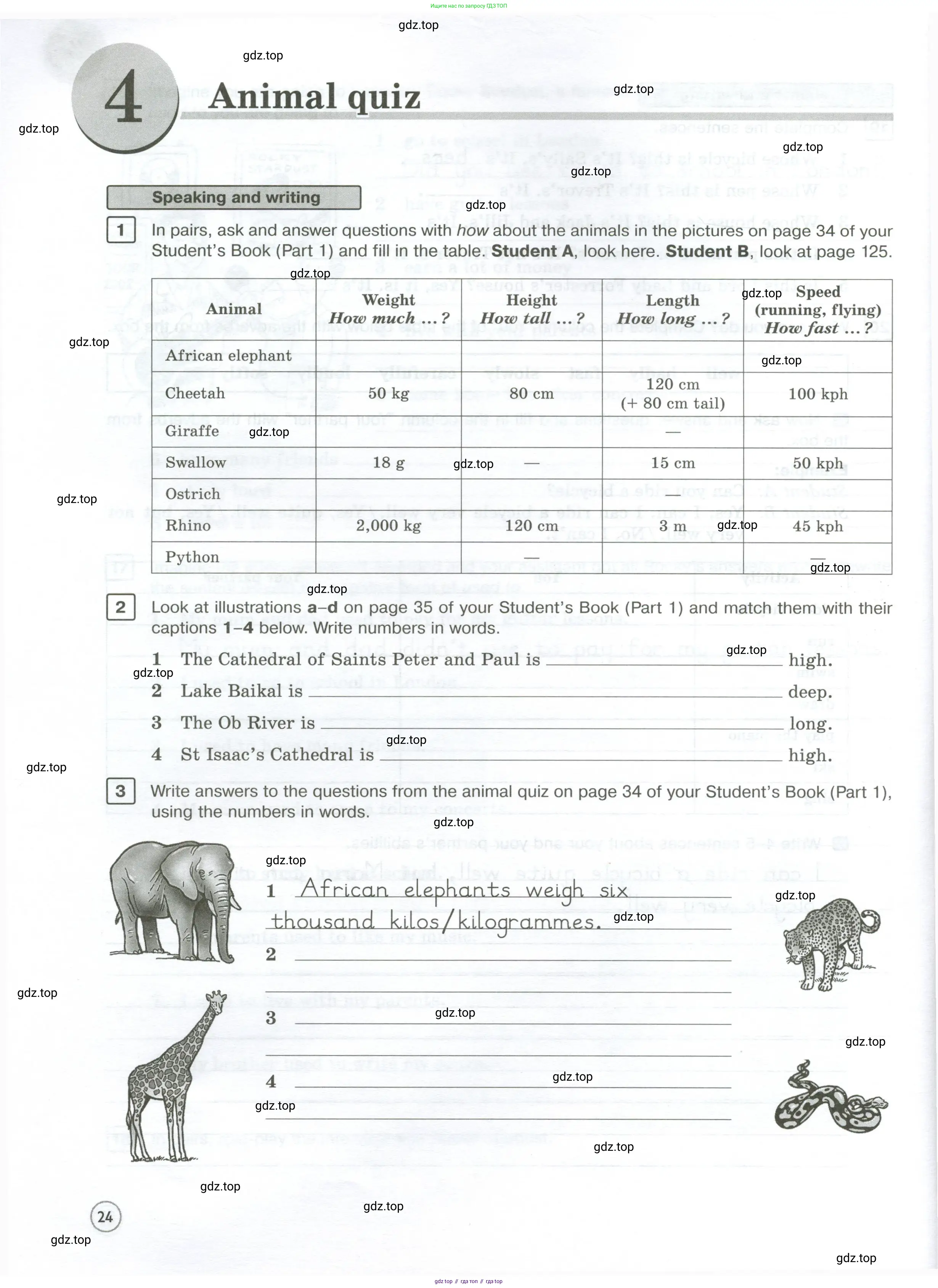 Английский язык (english), 7 класс Рабочая тетрадь (workbook), авторы: Вербицкая Мария Валерьевна (Verbitskaya Maria), Гаярделли Мариса (Gaiardelli Marisa ), Редли Пауль (Radley Paul), Миндрул Ольга Сергеевна (Mindrul Olga), издательство Просвещение, Москва, 2021, белого цвета, страница 24
