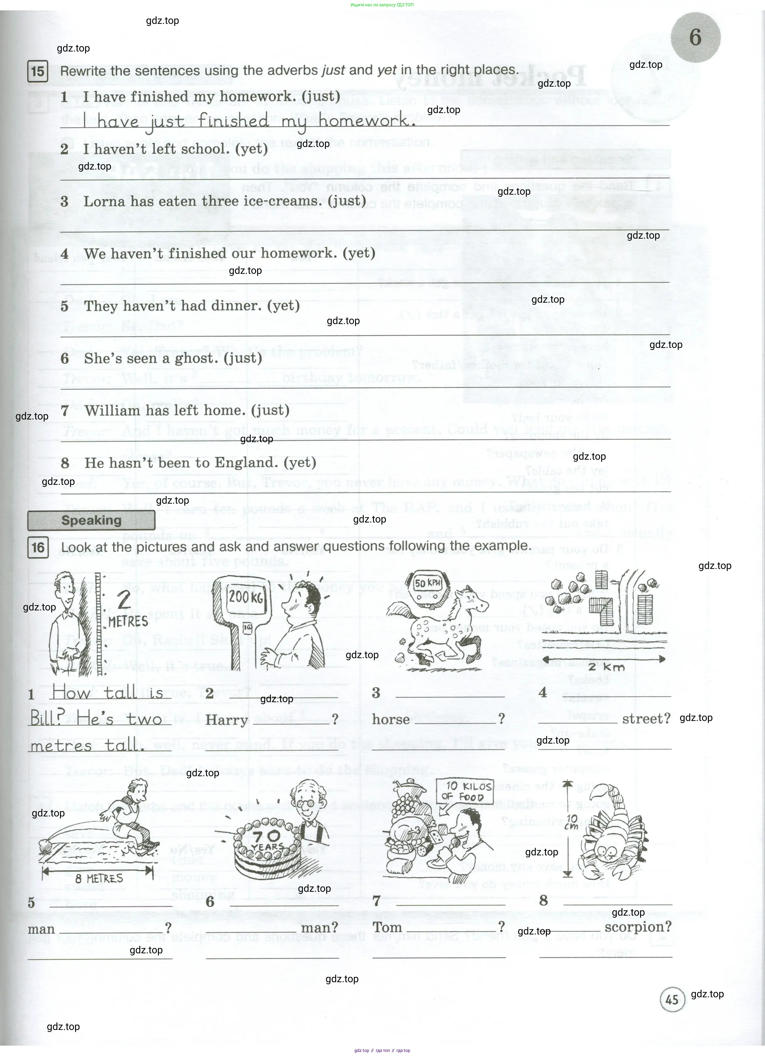 Английский язык (english), 7 класс Рабочая тетрадь (workbook), авторы: Вербицкая Мария Валерьевна (Verbitskaya Maria), Гаярделли Мариса (Gaiardelli Marisa ), Редли Пауль (Radley Paul), Миндрул Ольга Сергеевна (Mindrul Olga), издательство Просвещение, Москва, 2021, белого цвета, страница 45
