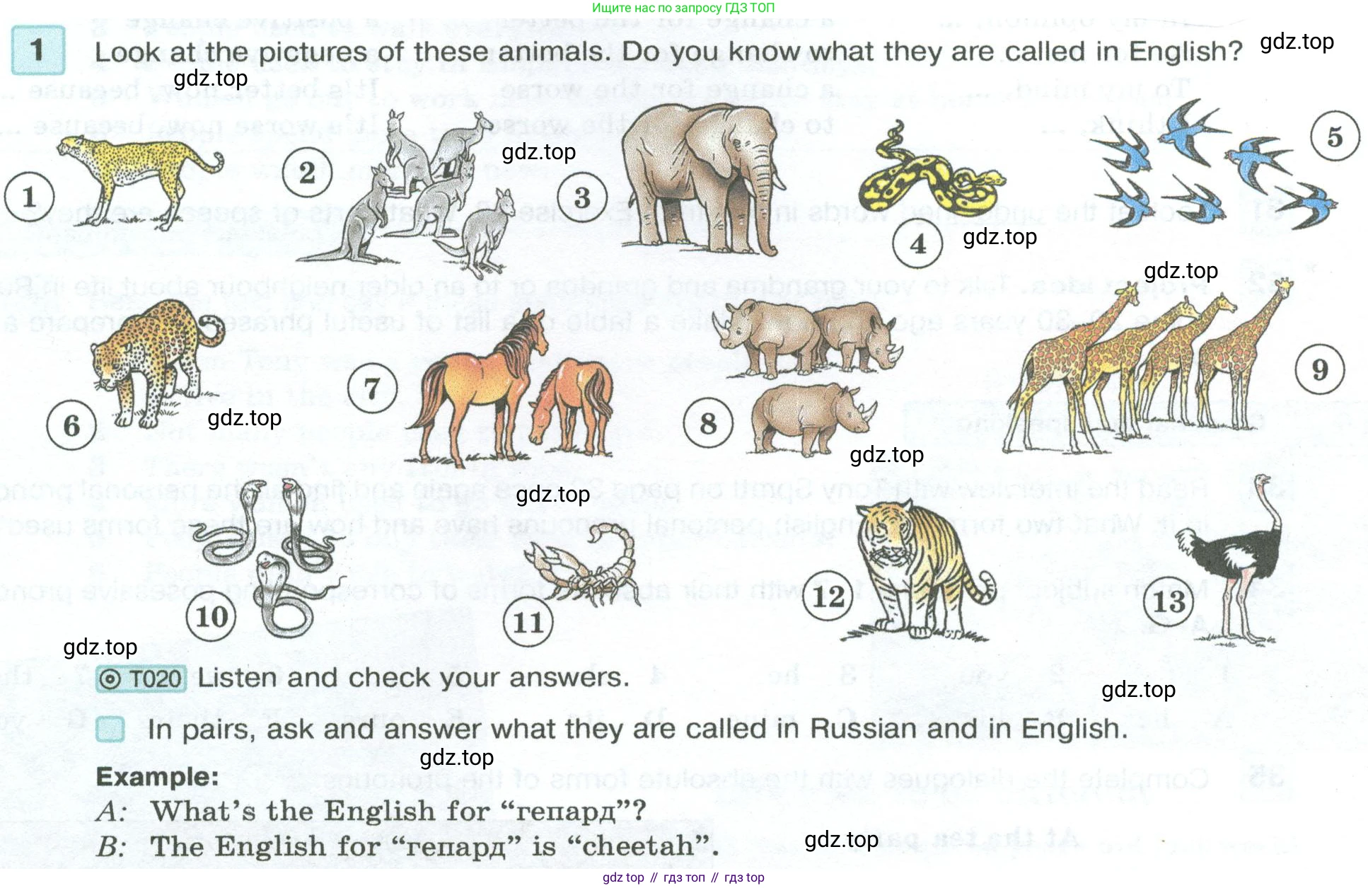 Английский язык (english), 7 класс Учебник (Student's book), авторы: Вербицкая Мария Валерьевна (Verbitskaya Maria), Гаярделли Мариса (Gaiardelli Marisa ), Редли Пауль (Radley Paul), Миндрул Ольга Сергеевна (Mindrul Olga), Савчук Лариса Олеговна (Savchuk Larisa), издательство Просвещение, Москва, 2019, белого цвета, Часть ( Part) 1, страница 34, номер 1, Условие