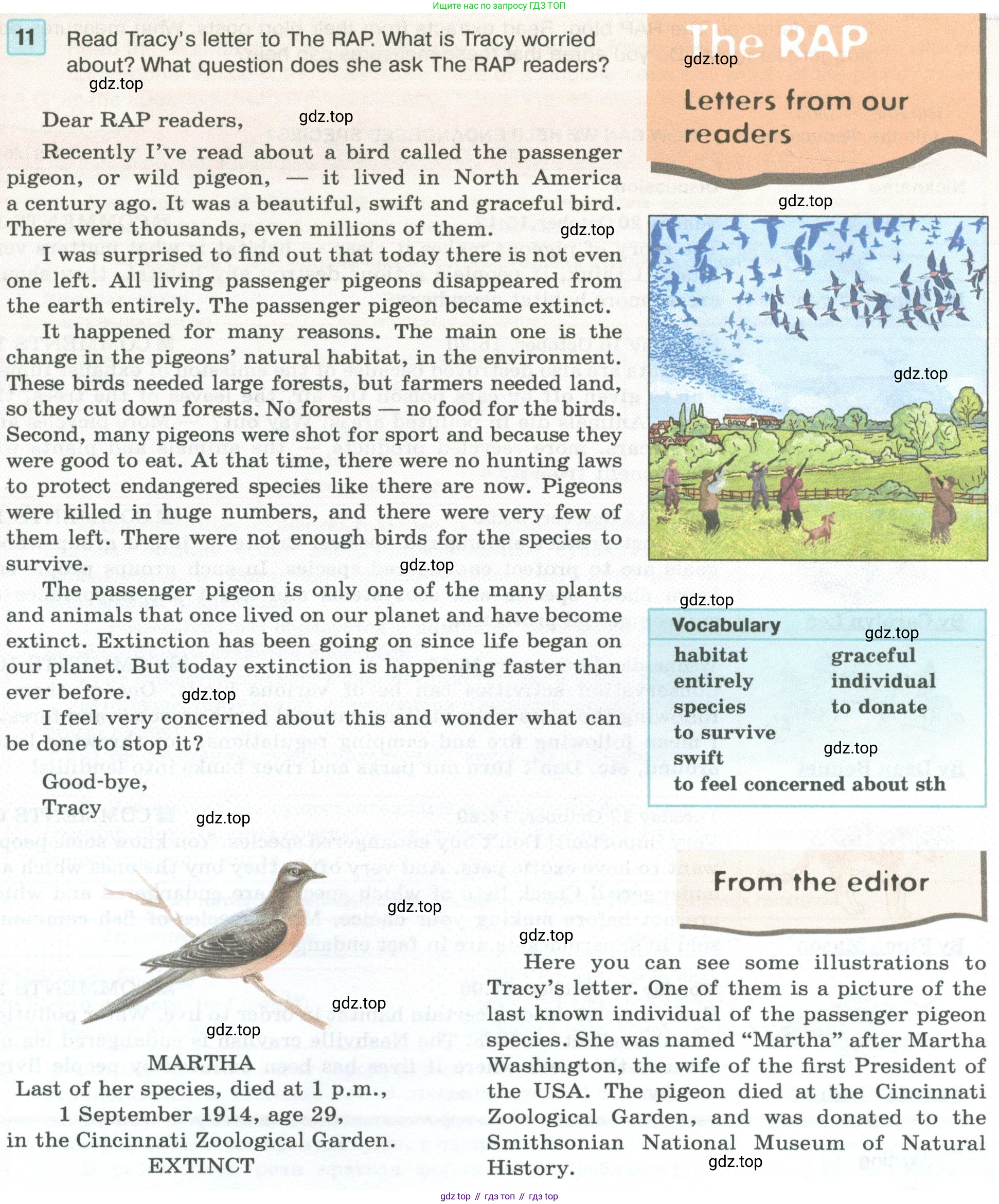 Английский язык (english), 7 класс Учебник (Student's book), авторы: Вербицкая Мария Валерьевна (Verbitskaya Maria), Гаярделли Мариса (Gaiardelli Marisa ), Редли Пауль (Radley Paul), Миндрул Ольга Сергеевна (Mindrul Olga), Савчук Лариса Олеговна (Savchuk Larisa), издательство Просвещение, Москва, 2019, белого цвета, Часть ( Part) 1, страница 37, номер 11, Условие