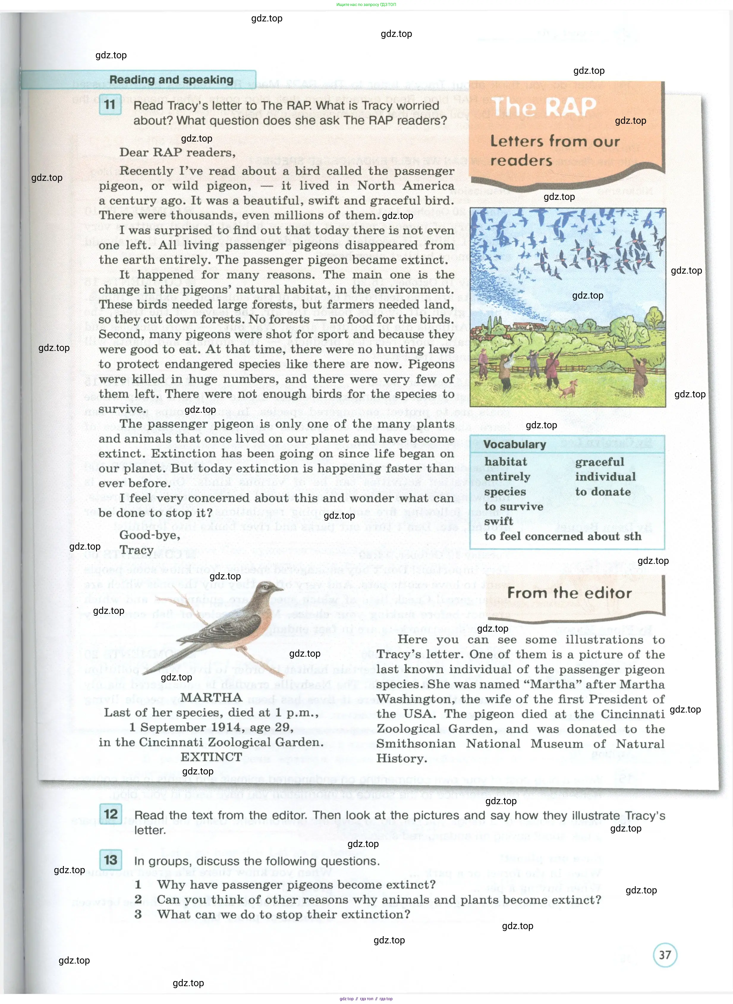 Английский язык (english), 7 класс Учебник (Student's book), авторы: Вербицкая Мария Валерьевна (Verbitskaya Maria), Гаярделли Мариса (Gaiardelli Marisa ), Редли Пауль (Radley Paul), Миндрул Ольга Сергеевна (Mindrul Olga), Савчук Лариса Олеговна (Savchuk Larisa), издательство Просвещение, Москва, 2019, белого цвета, Часть ( Part) 1, страница 37