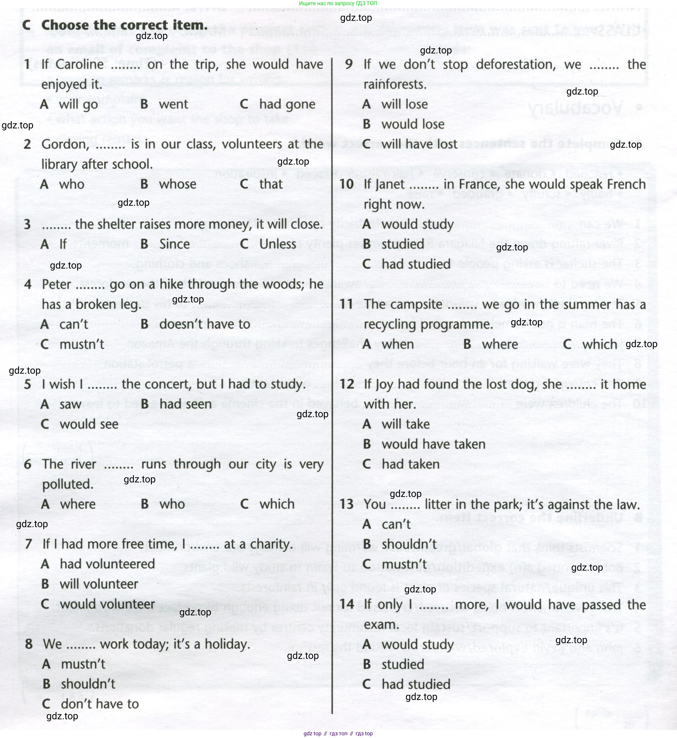 Английский язык (english), 8 класс контрольные задания (test booklet), авторы: Баранова Ксения Михайловна (Baranova Ksenia), Дули Дженни (Dooley Jenny), Мильруд Радислав Петрович (Millrood Radislav), Эванс Вирджиния (Evans Virginia), издательство Просвещение, Москва, 2024, серого цвета, страница 14, номер C, Условие