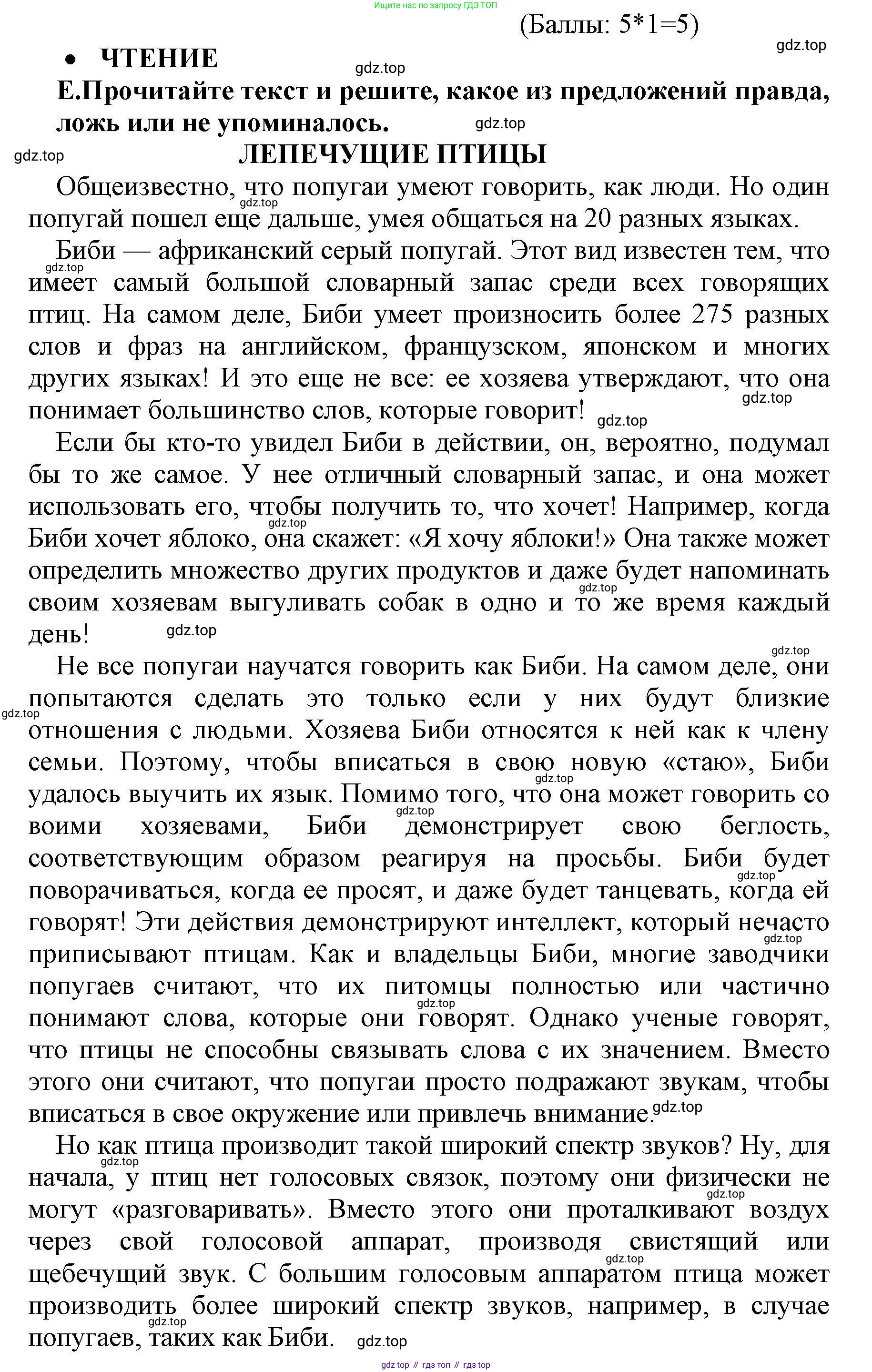 Английский язык (english), 8 класс контрольные задания (test booklet), авторы: Баранова Ксения Михайловна (Baranova Ksenia), Дули Дженни (Dooley Jenny), Мильруд Радислав Петрович (Millrood Radislav), Эванс Вирджиния (Evans Virginia), издательство Просвещение, Москва, 2024, серого цвета, страница 31, номер E, Решение 1