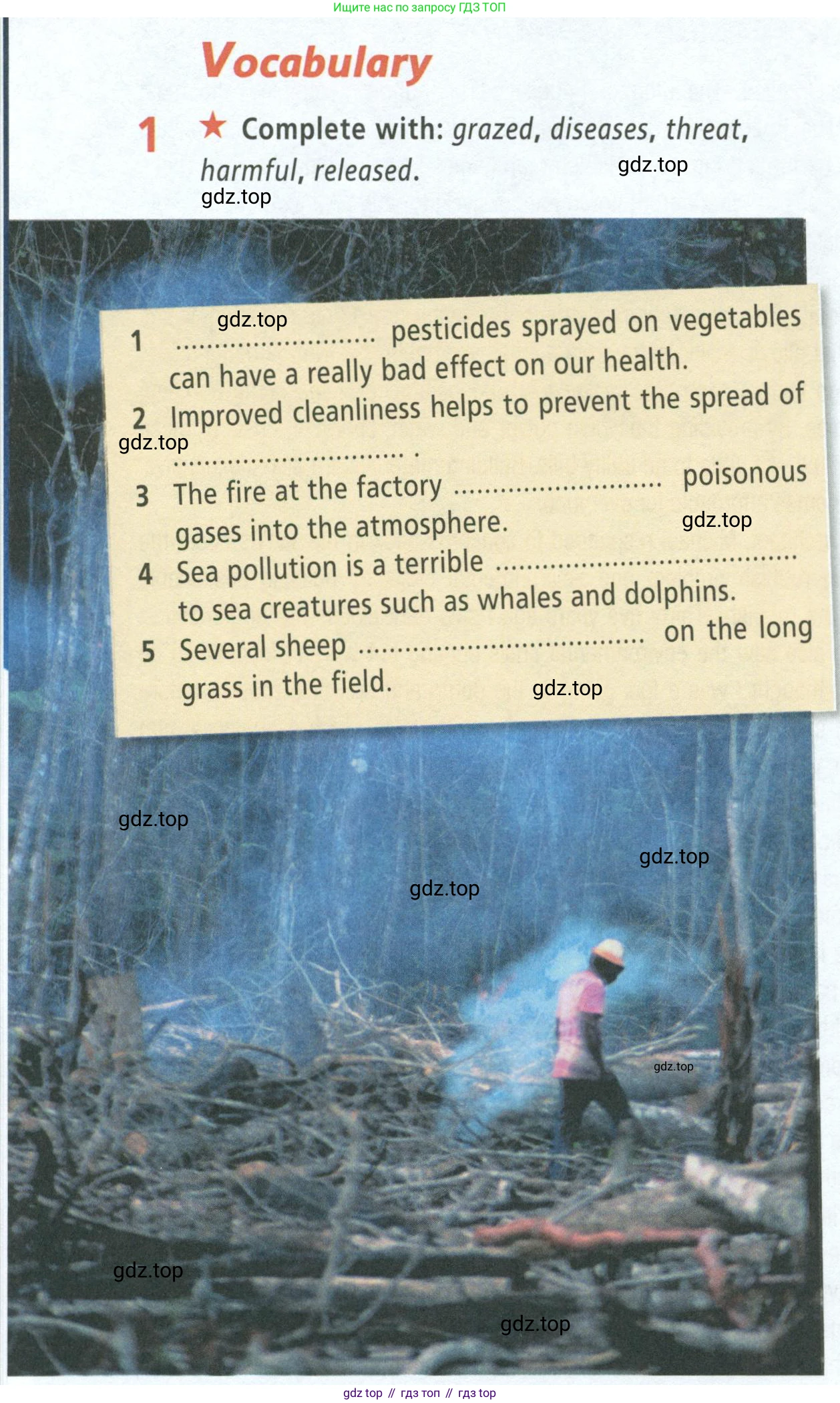 ГДЗ Английский язык (english), 8 класс Рабочая тетрадь (workbook), авторы: Баранова Ксения Михайловна (Baranova Ksenia), Дули Дженни (Dooley Jenny), Копылова Виктория Викторовна (Kopylova Victoria), Мильруд Радислав Петрович (Millrood Radislav), Эванс Вирджиния (Evans Virginia), издательство Просвещение, Москва, 2023, белого цвета, страница 38, номер 1, Условие 2023-2027