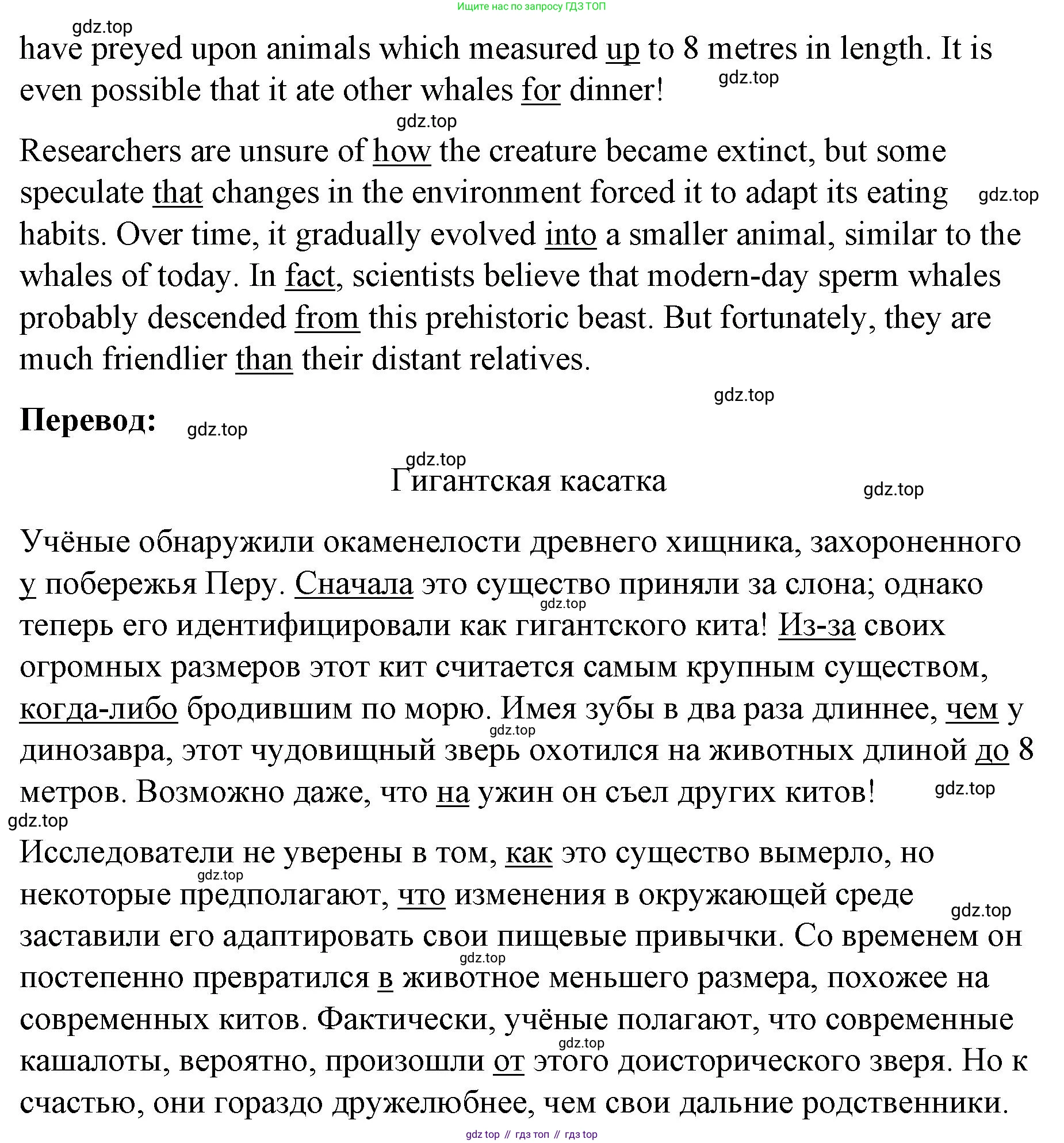 ГДЗ Английский язык (english), 8 класс Рабочая тетрадь (workbook), авторы: Баранова Ксения Михайловна (Baranova Ksenia), Дули Дженни (Dooley Jenny), Копылова Виктория Викторовна (Kopylova Victoria), Мильруд Радислав Петрович (Millrood Radislav), Эванс Вирджиния (Evans Virginia), издательство Просвещение, Москва, 2023, белого цвета, страница 55, номер 1, Решение 1 (2023-2027) (продолжение 2)