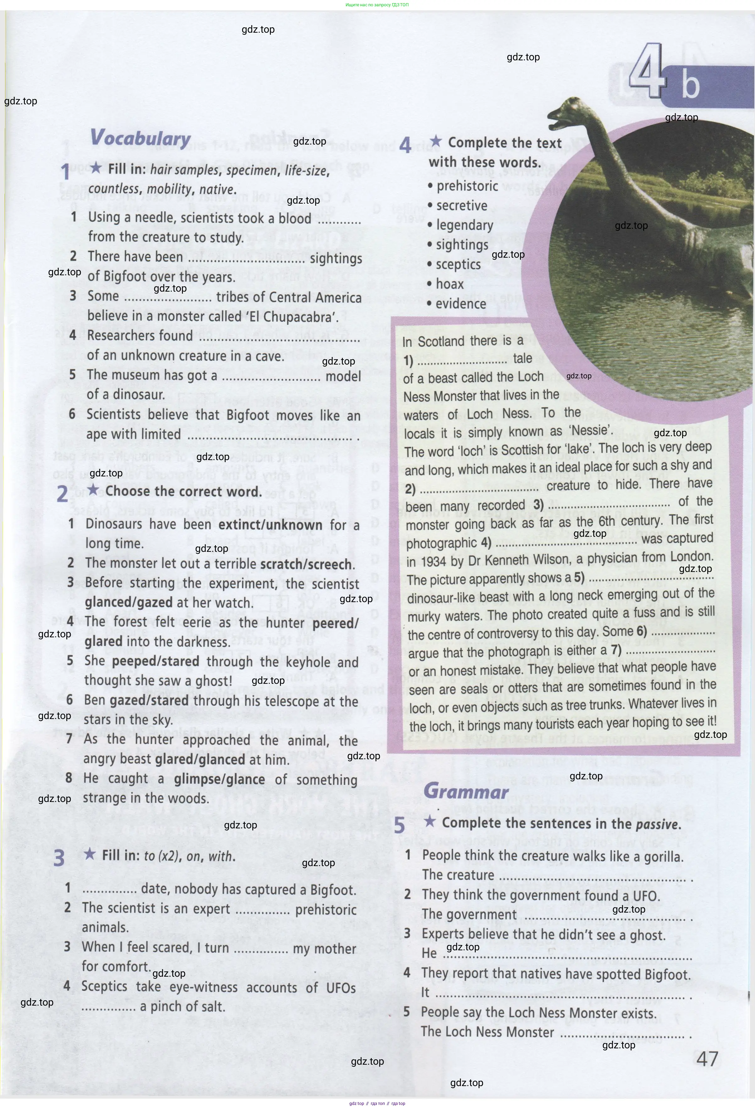 ГДЗ Английский язык (english), 8 класс Рабочая тетрадь (workbook), авторы: Баранова Ксения Михайловна (Baranova Ksenia), Дули Дженни (Dooley Jenny), Копылова Виктория Викторовна (Kopylova Victoria), Мильруд Радислав Петрович (Millrood Radislav), Эванс Вирджиния (Evans Virginia), издательство Просвещение, Москва, 2023, белого цвета, страница 47