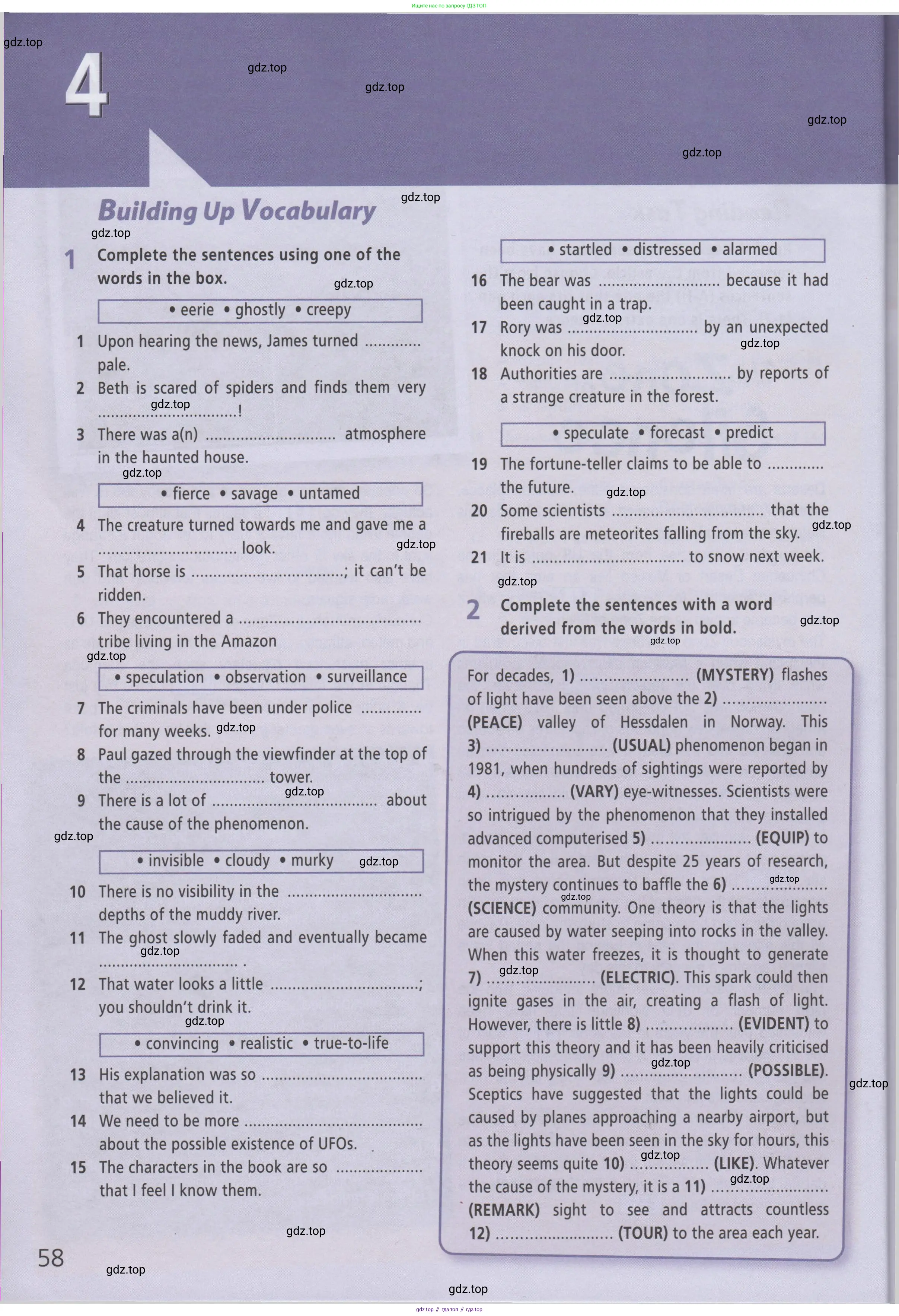 ГДЗ Английский язык (english), 8 класс Рабочая тетрадь (workbook), авторы: Баранова Ксения Михайловна (Baranova Ksenia), Дули Дженни (Dooley Jenny), Копылова Виктория Викторовна (Kopylova Victoria), Мильруд Радислав Петрович (Millrood Radislav), Эванс Вирджиния (Evans Virginia), издательство Просвещение, Москва, 2023, белого цвета, страница 58
