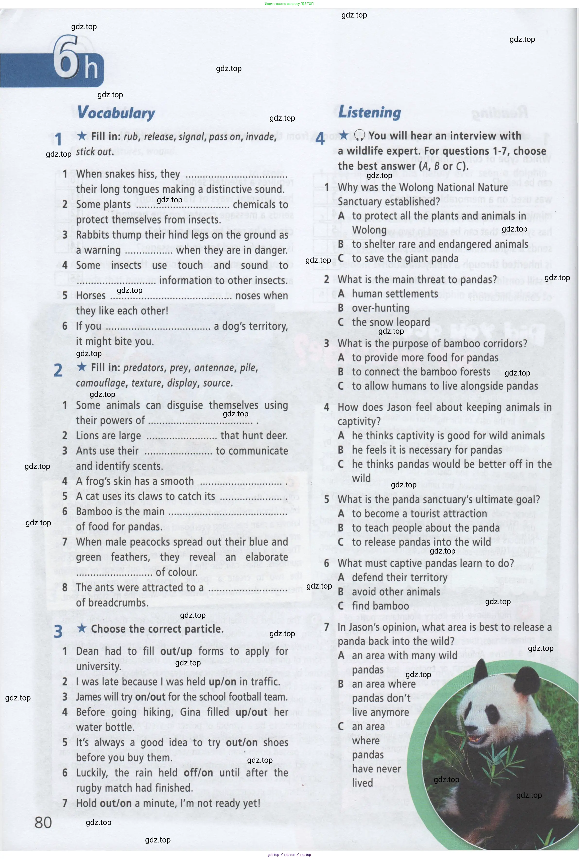 ГДЗ Английский язык (english), 8 класс Рабочая тетрадь (workbook), авторы: Баранова Ксения Михайловна (Baranova Ksenia), Дули Дженни (Dooley Jenny), Копылова Виктория Викторовна (Kopylova Victoria), Мильруд Радислав Петрович (Millrood Radislav), Эванс Вирджиния (Evans Virginia), издательство Просвещение, Москва, 2023, белого цвета, страница 80