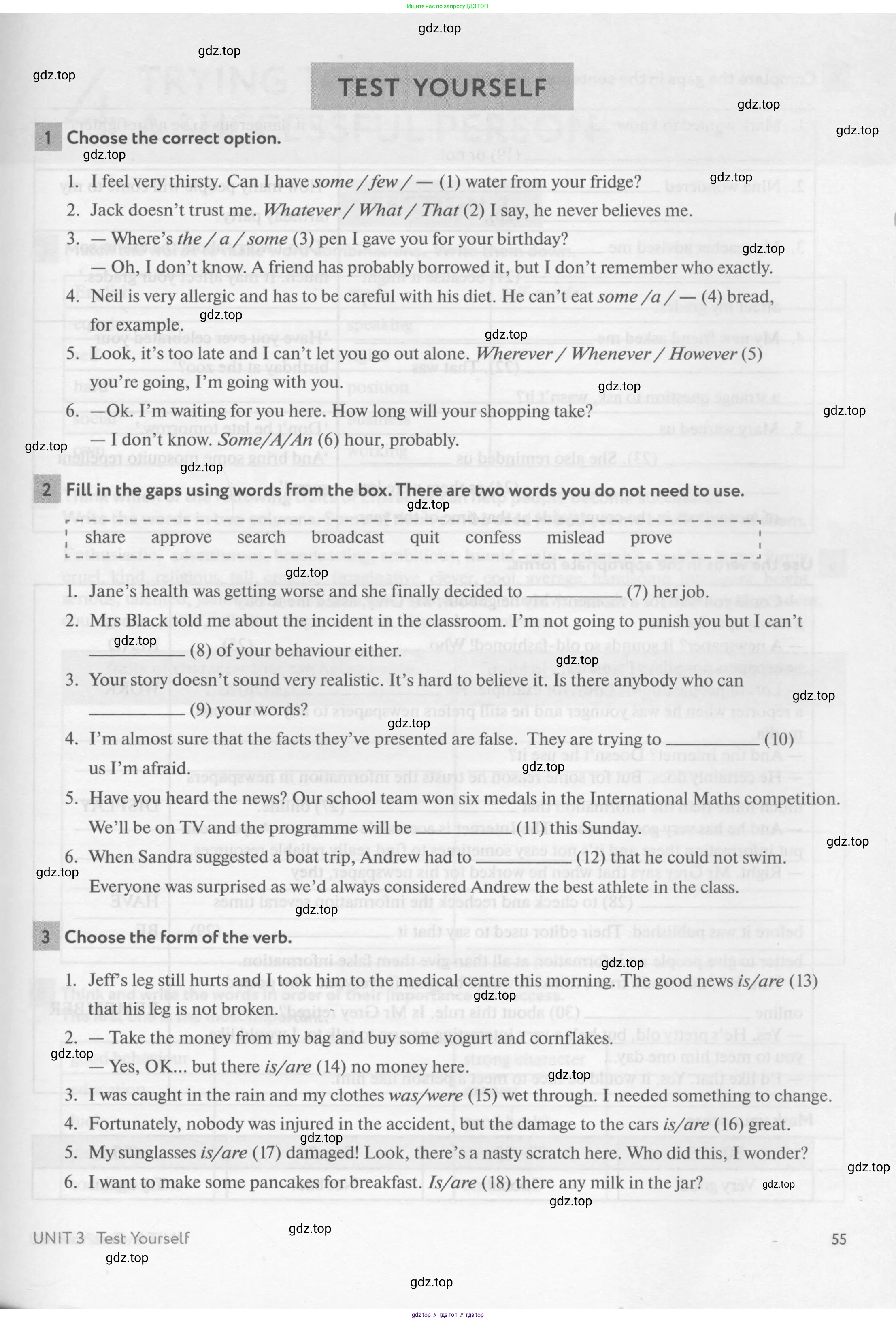 Английский язык (english), 8 класс рабочая тетрадь с контрольными работами (workbook + tests), авторы: Биболетова Мерем Забатовна, Бабушис Елена Евгеньевна, издательство Просвещение, Москва, бирюзового цвета, страница 55