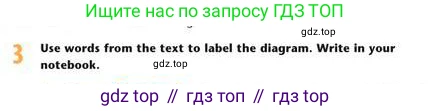 Английский язык (english), 8 класс Учебник (Student's book), авторы: Эванс Вирджиния (Evans Virginia), Дули Дженни (Dooley Jenny), Оби Боб (Obee Bob), Мухамеджанова Наталья (Mukhamedjanova Natalya), издательство Express Publishing, Алматы, 2018, бирюзового цвета, страница 38, номер 3, Условие