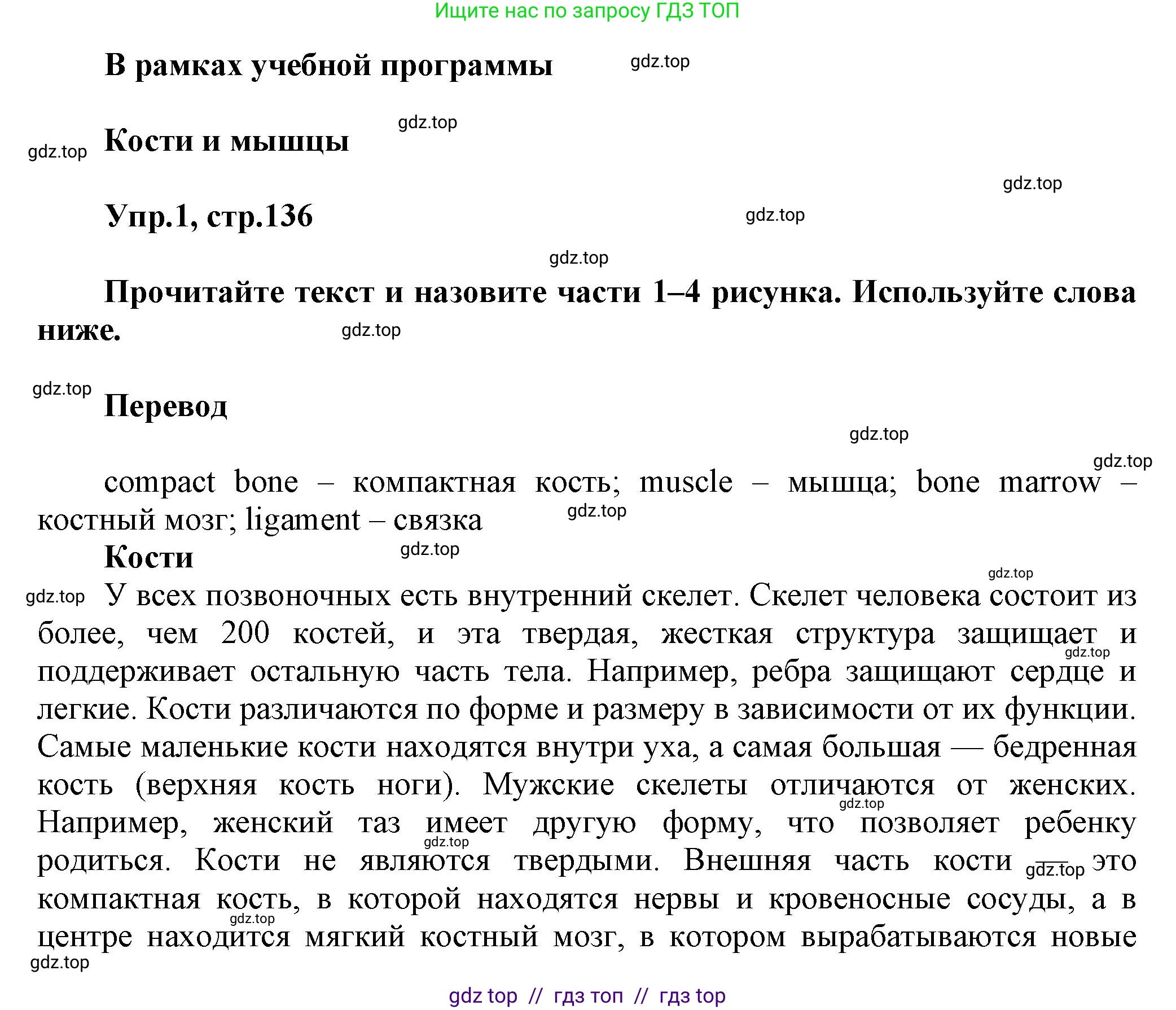 Английский язык (english), 8 класс Учебник (Student's book), авторы: Комарова Юлия Александровна, Ларионова Ирина Владимировна, издательство Русское слово, Москва, 2013, розового цвета, страница 136, номер 1, Решение 1
