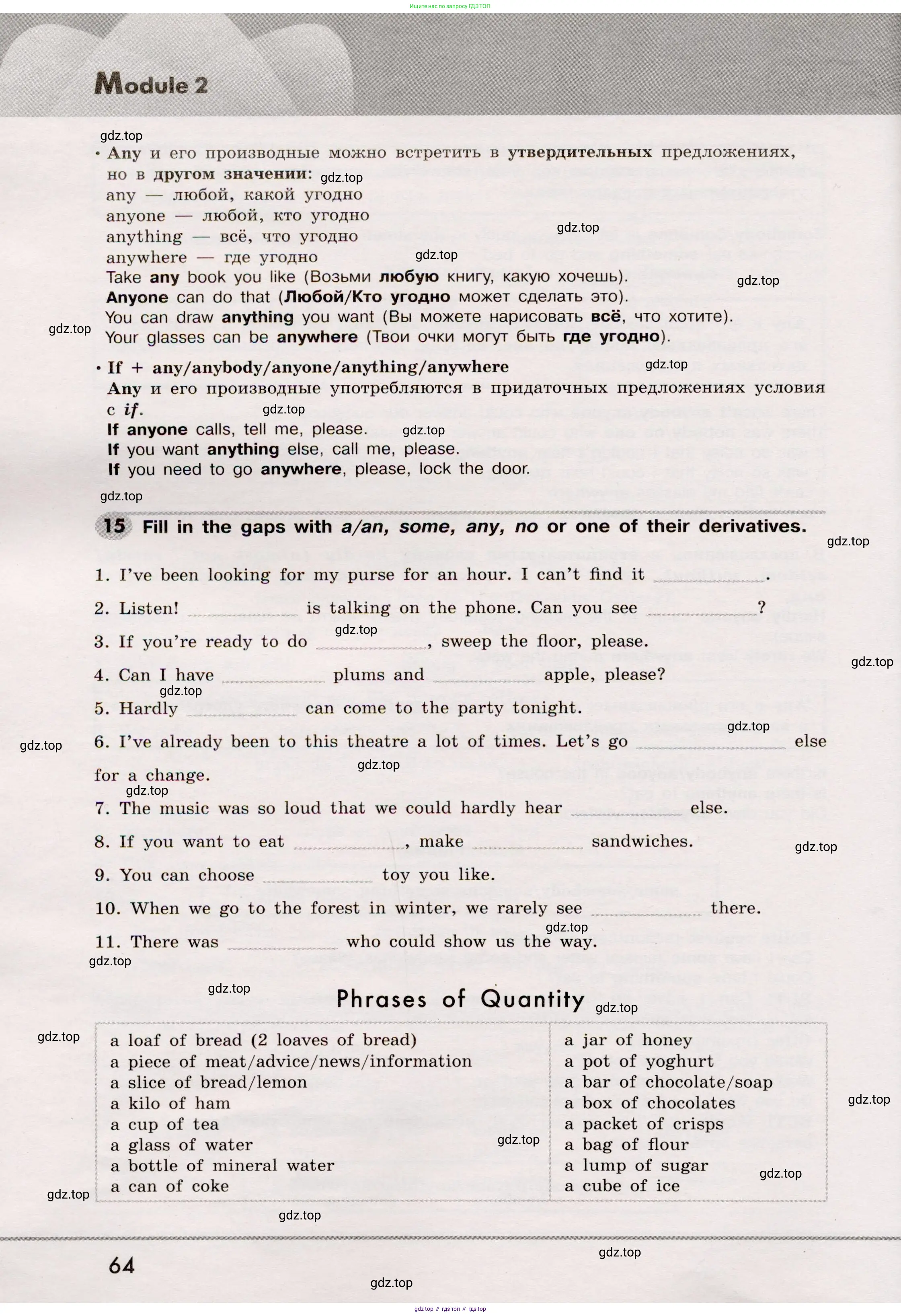 Английский язык (english), 8 класс Грамматический тренажёр, автор: Тимофеева Светлана Леонидовна, издательство Просвещение, Москва, 2024, бирюзового цвета, страница 64