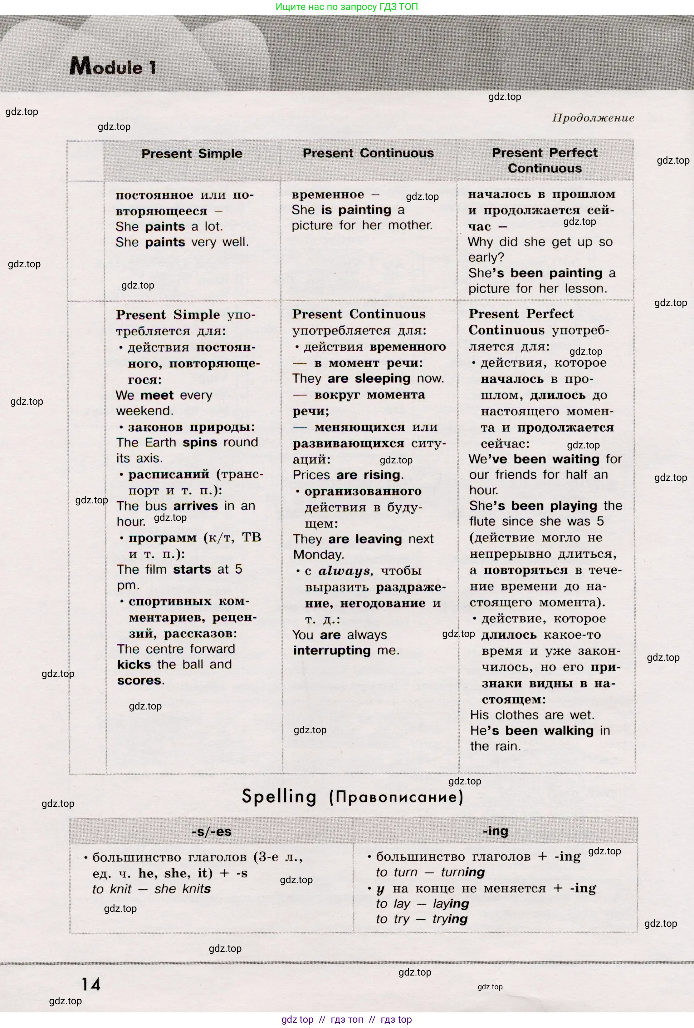 Английский язык (english), 8 класс Грамматический тренажёр, автор: Тимофеева Светлана Леонидовна, издательство Просвещение, Москва, 2024, бирюзового цвета, страница 14