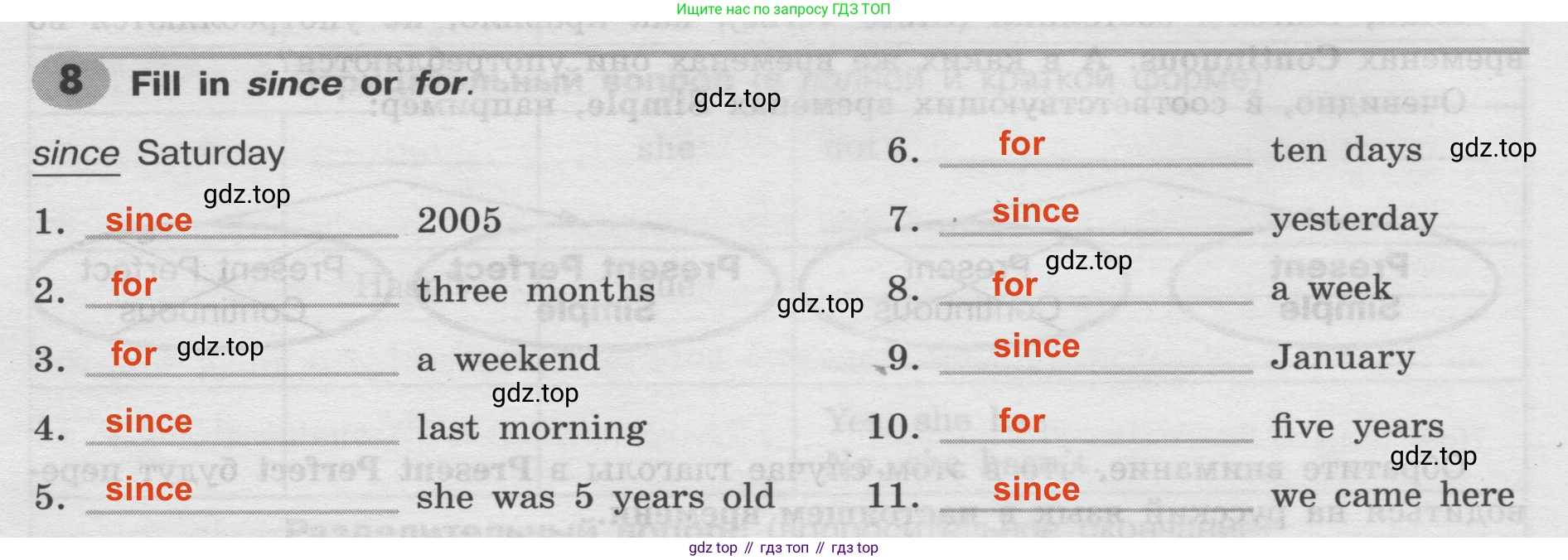 Английский язык (english), 8 класс Грамматический тренажёр, автор: Тимофеева Светлана Леонидовна, издательство Просвещение, Москва, 2024, бирюзового цвета, страница 20, номер 8, Решение 2 (2024-2027)