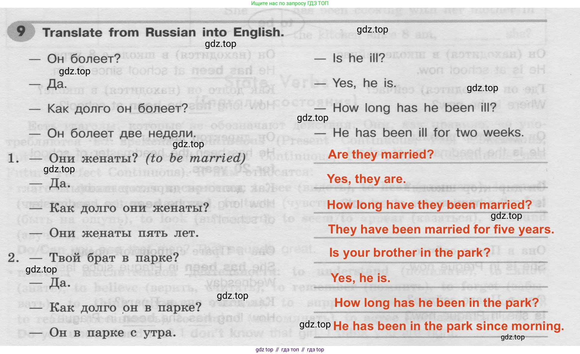 Английский язык (english), 8 класс Грамматический тренажёр, автор: Тимофеева Светлана Леонидовна, издательство Просвещение, Москва, 2024, бирюзового цвета, страница 20, номер 9, Решение 2 (2024-2027)