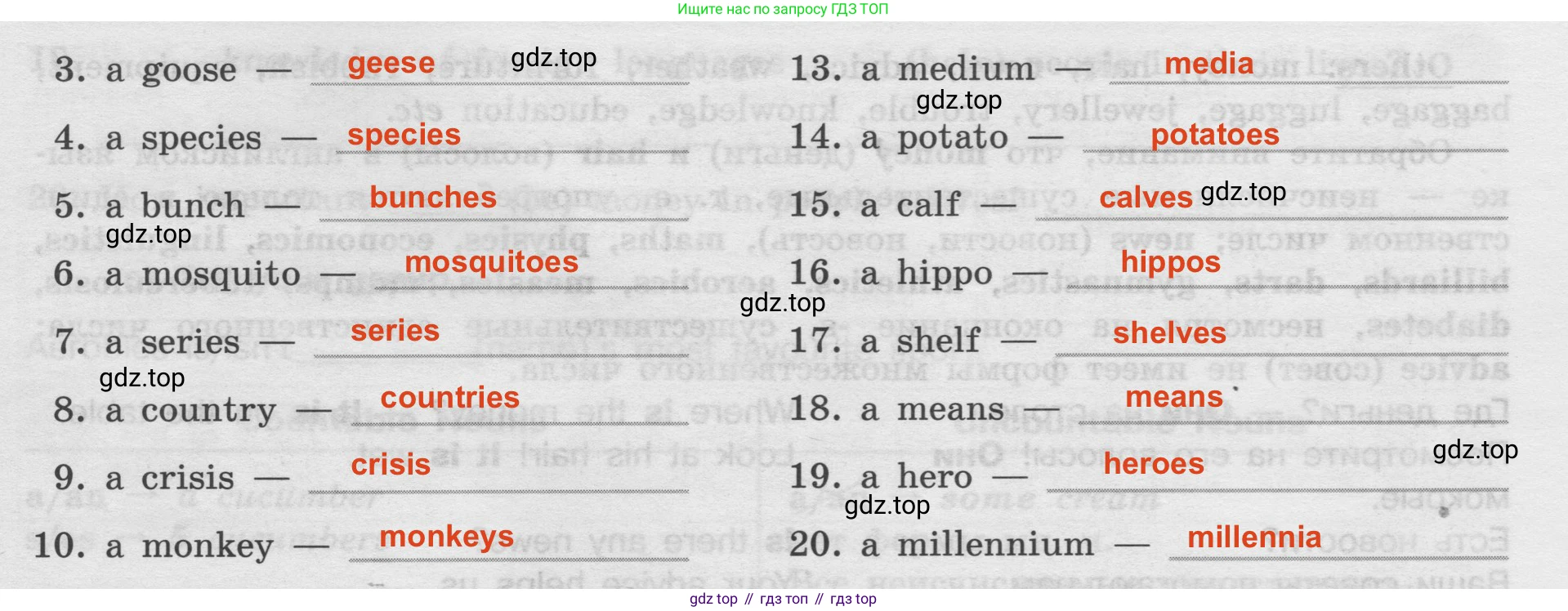 Английский язык (english), 8 класс Грамматический тренажёр, автор: Тимофеева Светлана Леонидовна, издательство Просвещение, Москва, 2024, бирюзового цвета, страница 58, номер 10, Решение 2 (2024-2027) (продолжение 2)