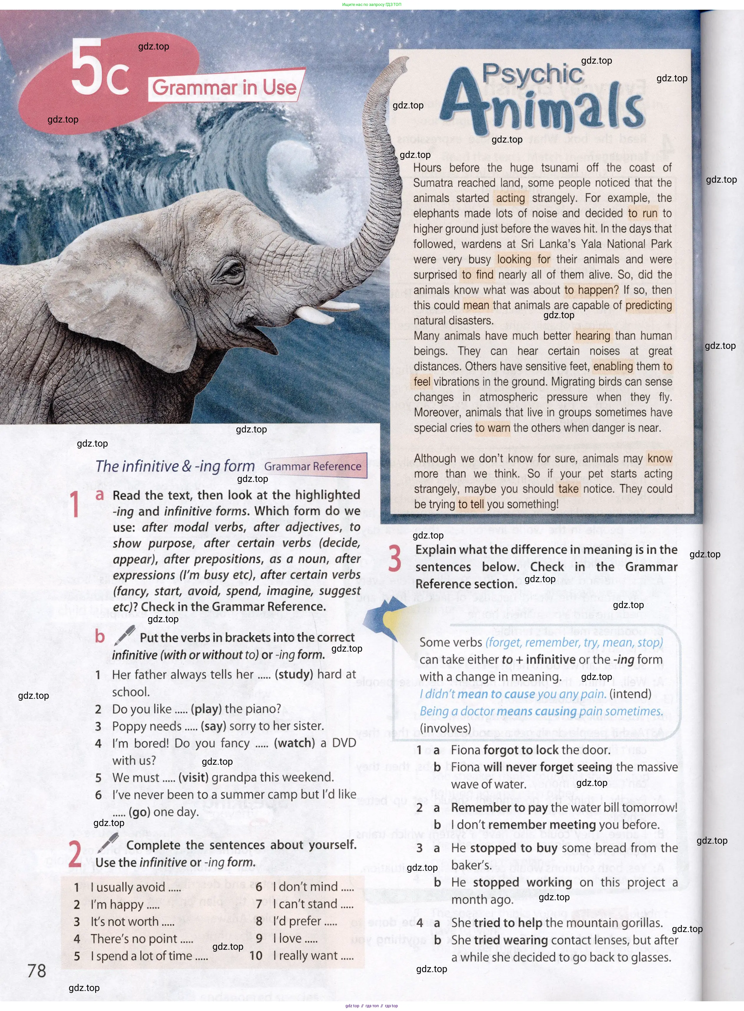Английский язык (english), 8 класс Учебник (Student's book), авторы: Ваулина Юлия Евгеньевна (Vaulina Julia), Дули Дженни (Dooley Jenny), Подоляко Ольга Евгеньевна (Podolyako Olga), Эванс Вирджиния (Evans Virginia), издательство Просвещение, Москва, 2023, бирюзового цвета, страница 78