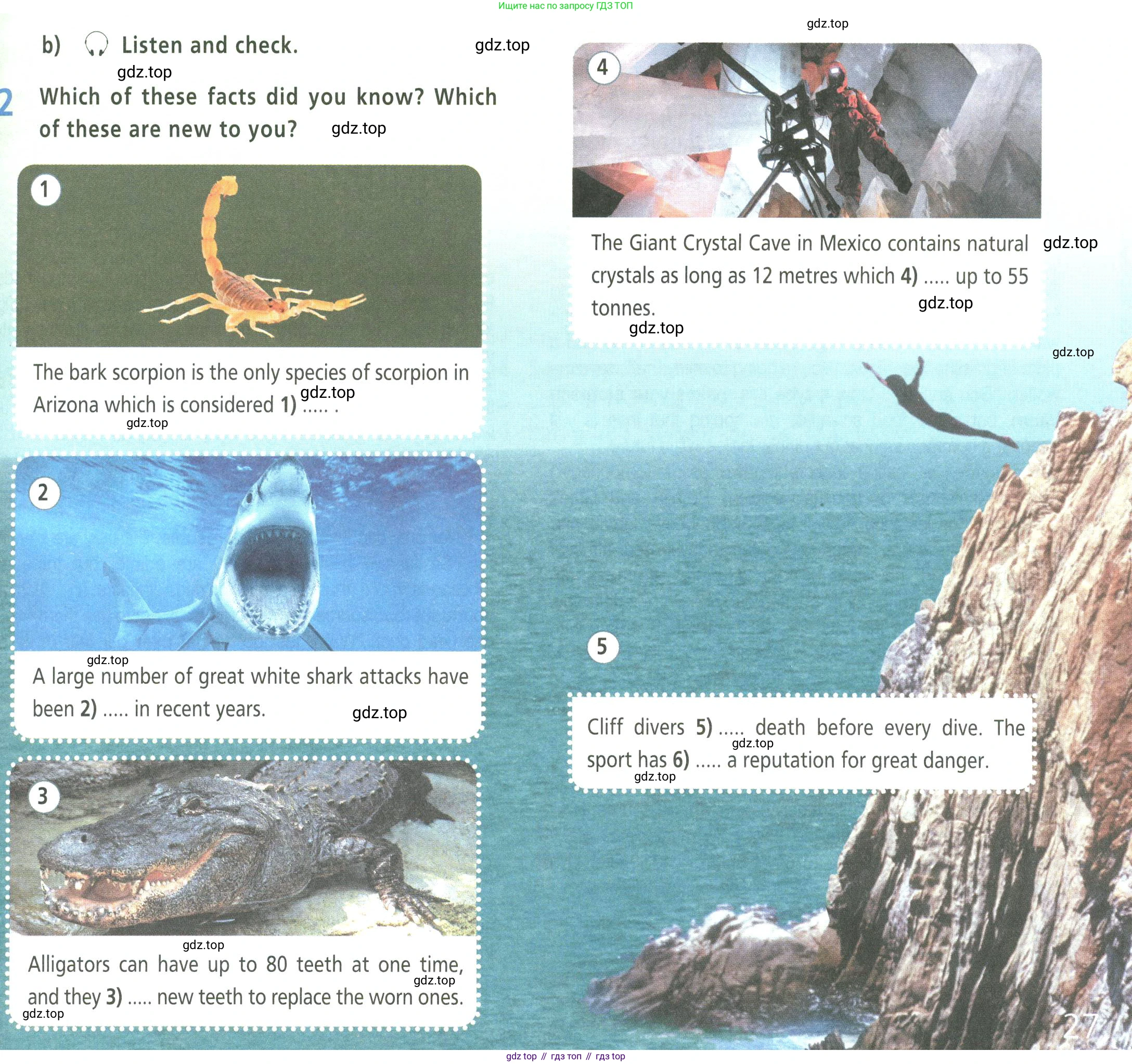Английский язык (english), 9 класс Учебник (Student's book), авторы: Баранова Ксения Михайловна (Baranova Ksenia), Дули Дженни (Dooley Jenny), Копылова Виктория Викторовна (Kopylova Victoria), Мильруд Радислав Петрович (Millrood Radislav), Эванс Вирджиния (Evans Virginia), издательство Просвещение, Москва, 2023, белого цвета, страница 27, номер 2, Условие 2023-2027