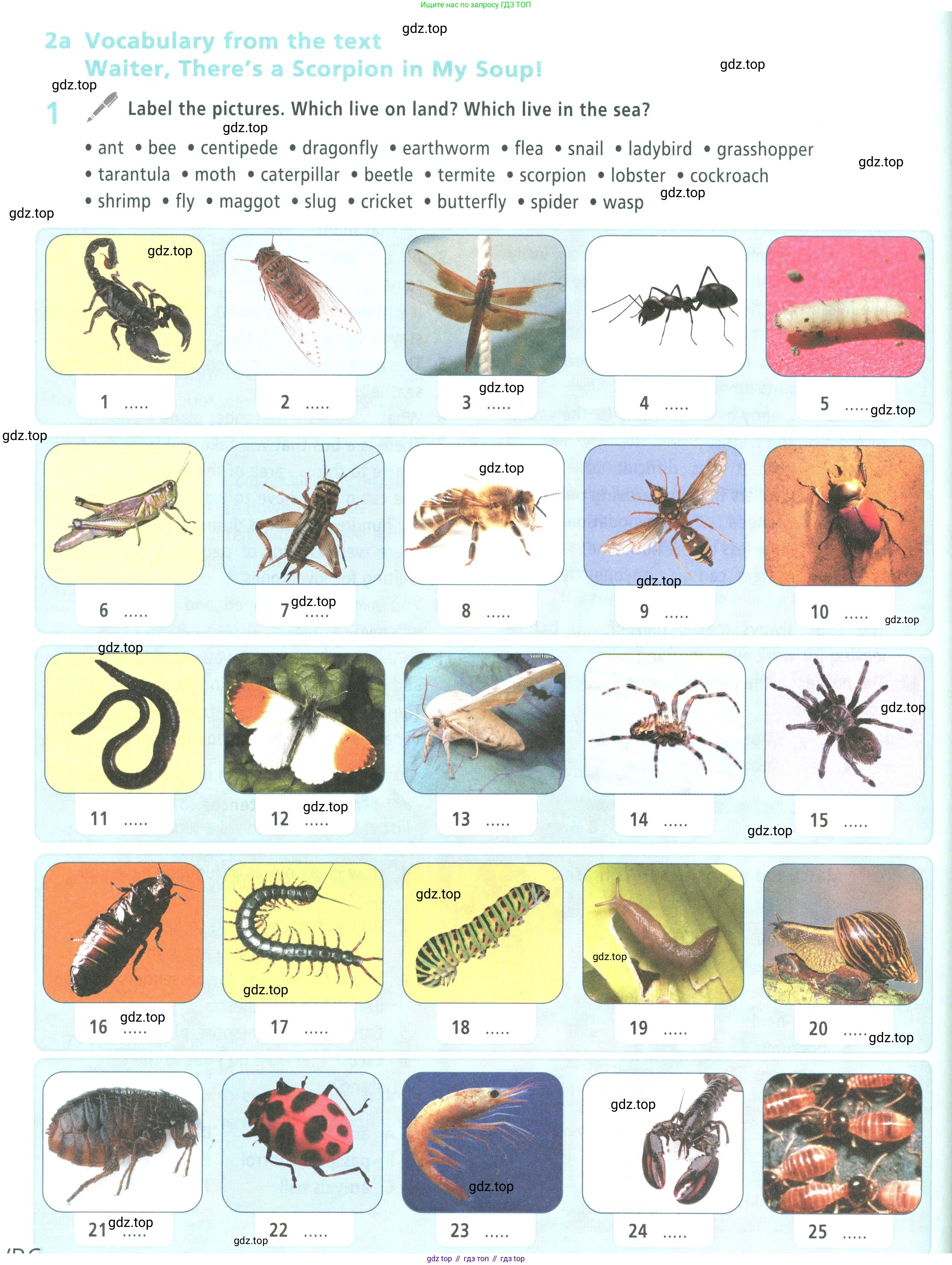 Английский язык (english), 9 класс Учебник (Student's book), авторы: Баранова Ксения Михайловна (Baranova Ksenia), Дули Дженни (Dooley Jenny), Копылова Виктория Викторовна (Kopylova Victoria), Мильруд Радислав Петрович (Millrood Radislav), Эванс Вирджиния (Evans Virginia), издательство Просвещение, Москва, 2023, белого цвета, страница 138, номер 1, Условие 2023-2027