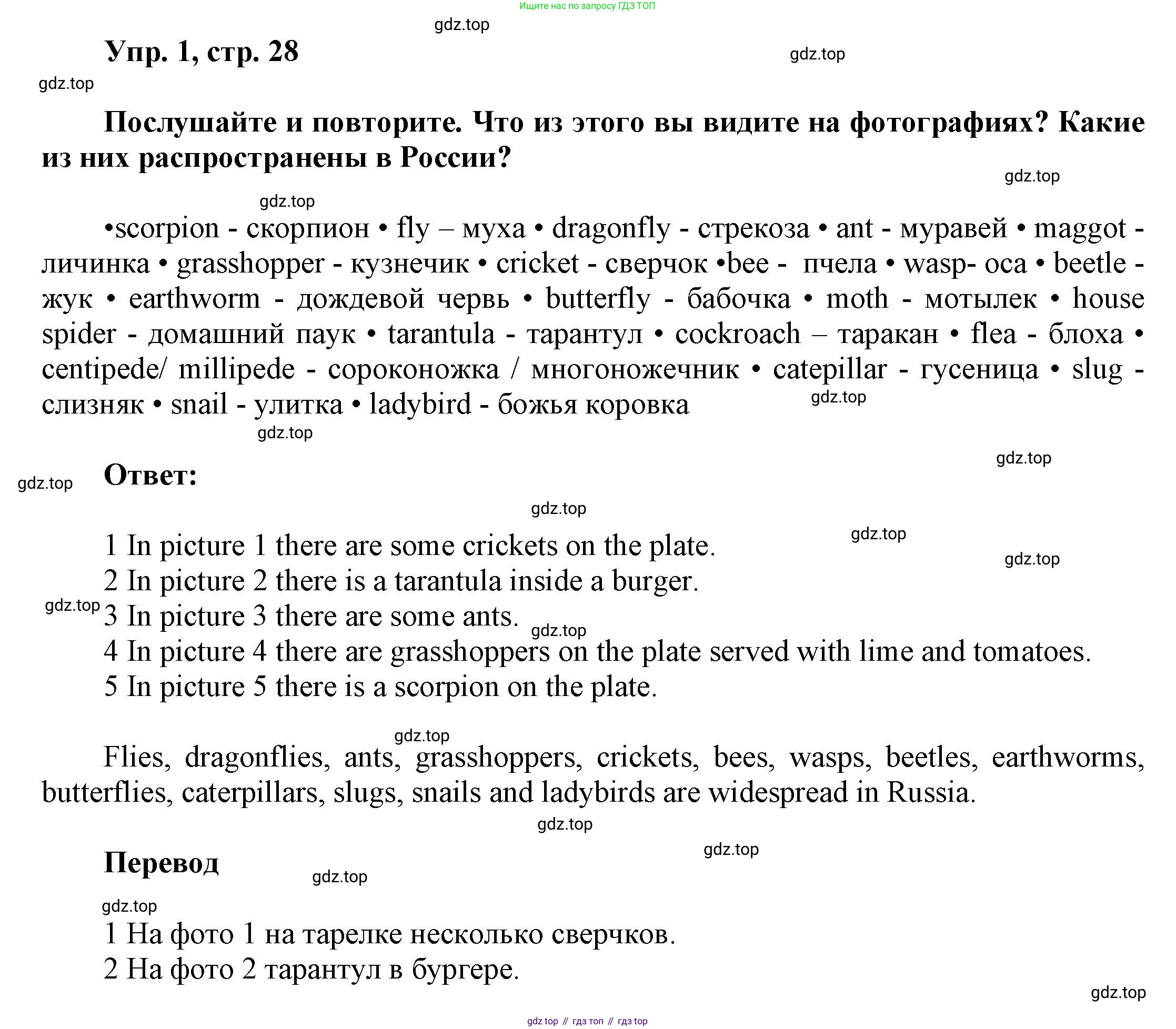 Английский язык (english), 9 класс Учебник (Student's book), авторы: Баранова Ксения Михайловна (Baranova Ksenia), Дули Дженни (Dooley Jenny), Копылова Виктория Викторовна (Kopylova Victoria), Мильруд Радислав Петрович (Millrood Radislav), Эванс Вирджиния (Evans Virginia), издательство Просвещение, Москва, 2023, белого цвета, страница 28, номер 1, Решение 2023-2027