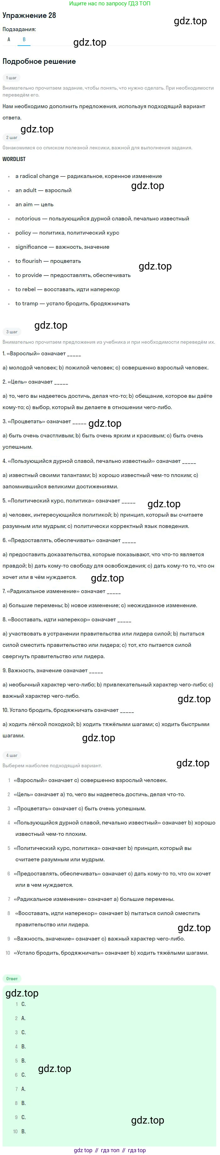 ГДЗ Английский язык (english), 9 класс Учебник (Student's book), авторы: Афанасьева Ольга Васильевна (Afanasyeva Olga), Михеева Ирина Владимировна (Mikheeva Irina), издательство Просвещение, Москва, 2014, голубого цвета, страница 207, номер 28, Решение (продолжение 2)