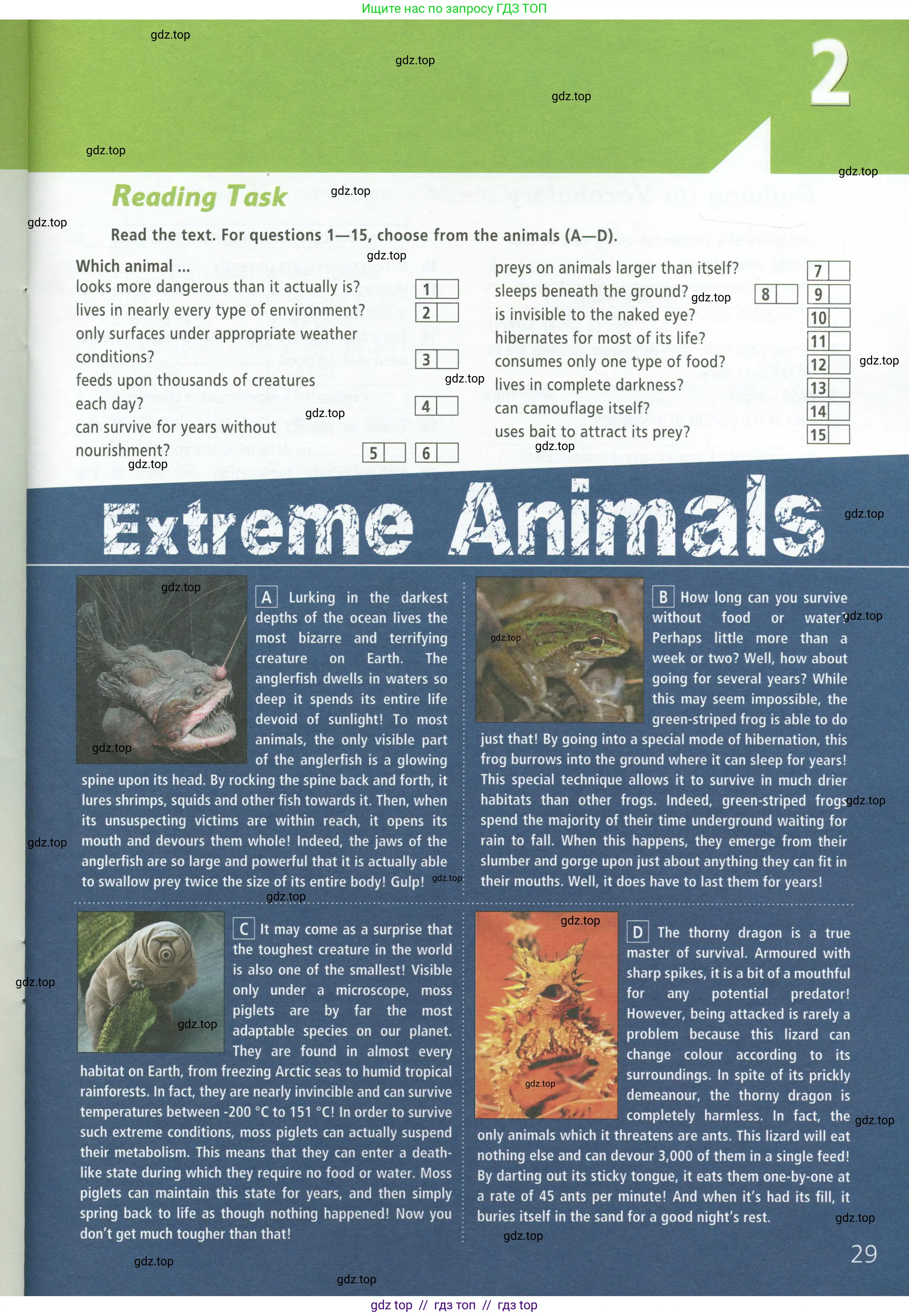 Условие 2024-2027