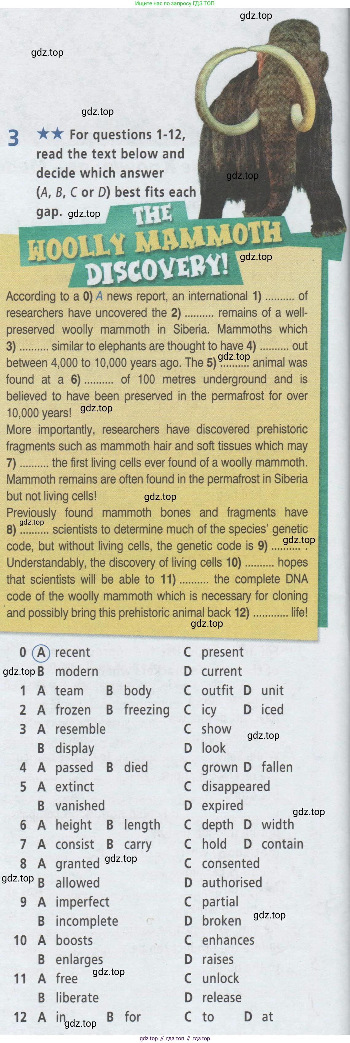 ГДЗ Английский язык (english), 9 класс Рабочая тетрадь (workbook), авторы: Баранова Ксения Михайловна (Baranova Ksenia), Дули Дженни (Dooley Jenny), Копылова Виктория Викторовна (Kopylova Victoria), Мильруд Радислав Петрович (Millrood Radislav), Эванс Вирджиния (Evans Virginia), издательство Просвещение, Москва, 2024, белого цвета, страница 74, номер 3, Условие 2019-2023