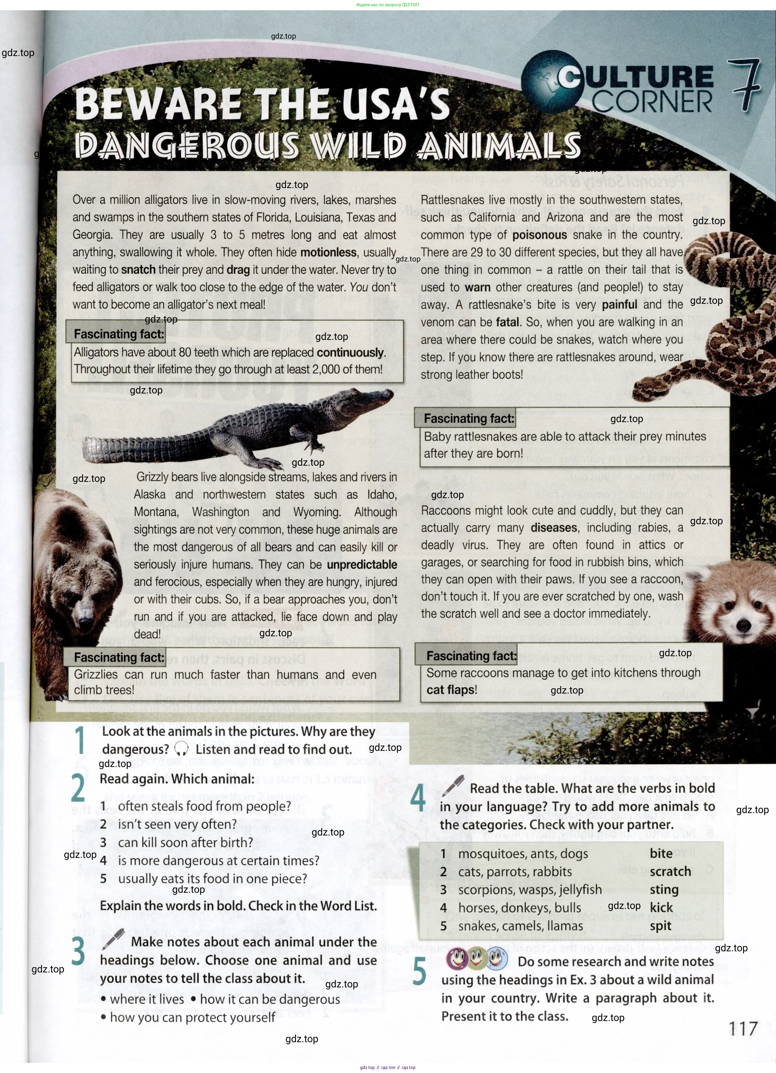 Английский язык (english), 9 класс Учебник (Student's book), авторы: Ваулина Юлия Евгеньевна (Vaulina Julia), Дули Дженни (Dooley Jenny), Подоляко Ольга Евгеньевна (Podolyako Olga), Эванс Вирджиния (Evans Virginia), издательство Просвещение, Москва, 2023, белого цвета, страница 117