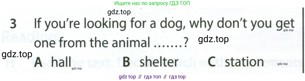 ГДЗ Английский язык (english), 9 класс контрольные задания (test booklet), авторы: Ваулина Юлия Евгеньевна (Vaulina Julia), Дули Дженни (Dooley Jenny), Подоляко Ольга Евгеньевна (Podolyako Olga), Эванс Вирджиния (Evans Virginia), издательство Просвещение, Москва, 2023, страница 46, номер 3, Условие 2024