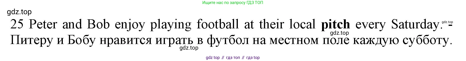 Английский язык (english), 9 класс контрольные задания (test booklet), авторы: Ваулина Юлия Евгеньевна (Vaulina Julia), Дули Дженни (Dooley Jenny), Подоляко Ольга Евгеньевна (Podolyako Olga), Эванс Вирджиния (Evans Virginia), издательство Просвещение, Москва, 2023, страница 27, номер 25, Решение 1 (2024)