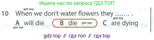 Английский язык (english), 9 класс контрольные задания (test booklet), авторы: Ваулина Юлия Евгеньевна (Vaulina Julia), Дули Дженни (Dooley Jenny), Подоляко Ольга Евгеньевна (Podolyako Olga), Эванс Вирджиния (Evans Virginia), издательство Просвещение, Москва, 2023, страница 5, номер 10, Решение 2 (2024)