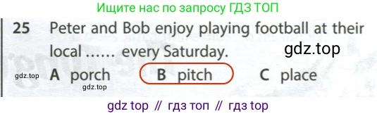Английский язык (english), 9 класс контрольные задания (test booklet), авторы: Ваулина Юлия Евгеньевна (Vaulina Julia), Дули Дженни (Dooley Jenny), Подоляко Ольга Евгеньевна (Podolyako Olga), Эванс Вирджиния (Evans Virginia), издательство Просвещение, Москва, 2023, страница 27, номер 25, Решение 2 (2024)