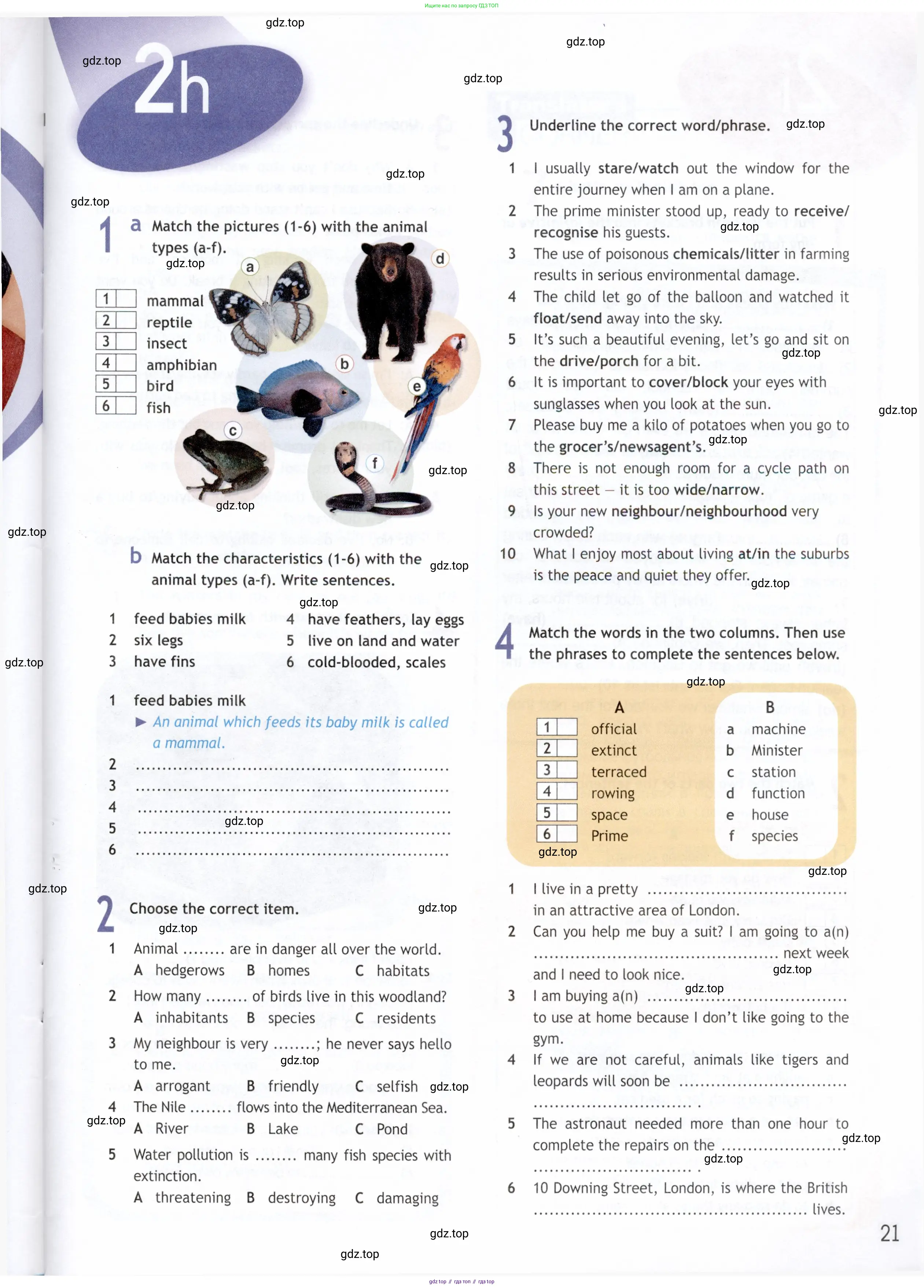 Английский язык (english), 9 класс Рабочая тетрадь (workbook), авторы: Ваулина Юлия Евгеньевна (Vaulina Julia), Дули Дженни (Dooley Jenny), Подоляко Ольга Евгеньевна (Podolyako Olga), Эванс Вирджиния (Evans Virginia), издательство Просвещение, Москва, 2024, страница 21