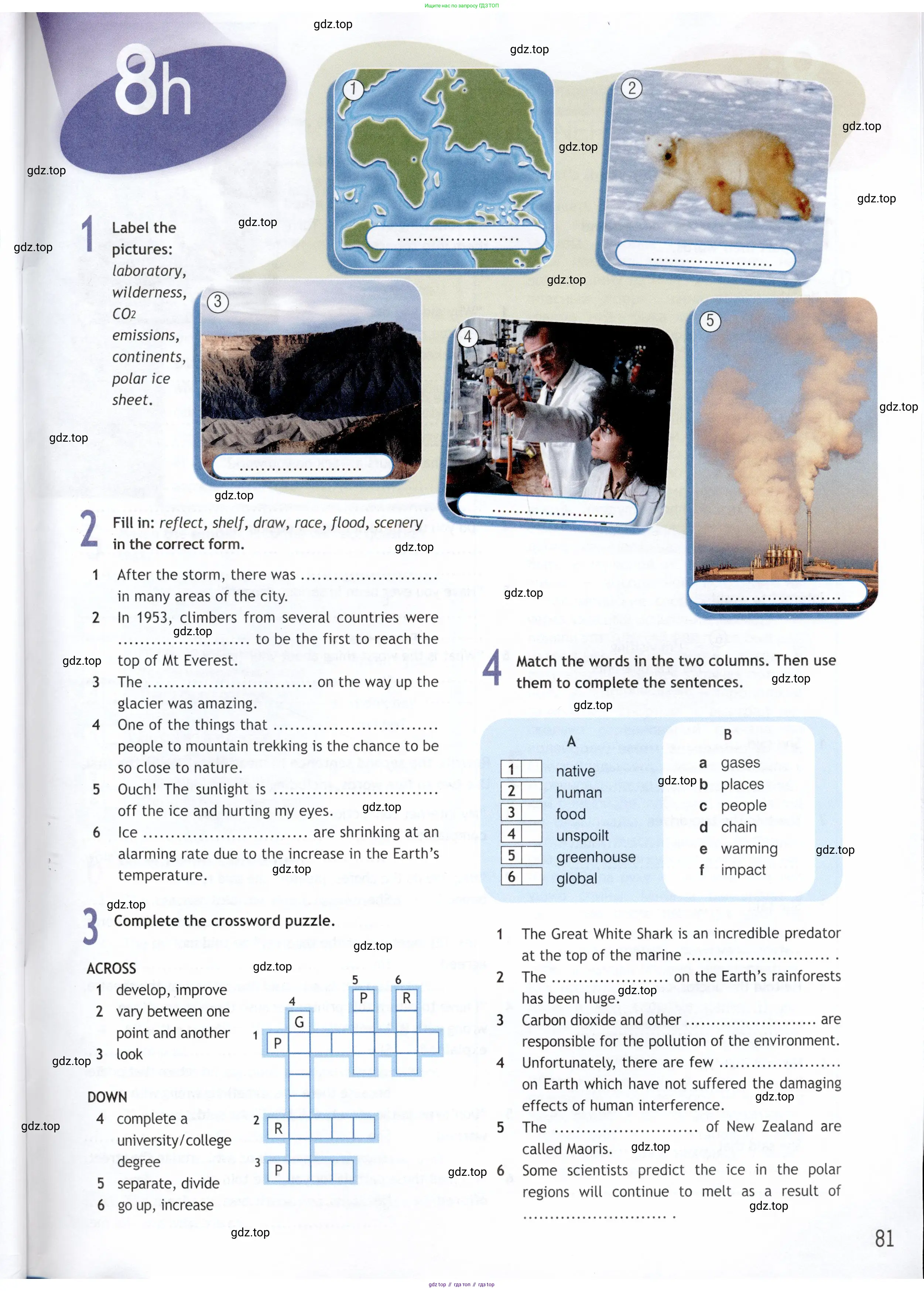 Английский язык (english), 9 класс Рабочая тетрадь (workbook), авторы: Ваулина Юлия Евгеньевна (Vaulina Julia), Дули Дженни (Dooley Jenny), Подоляко Ольга Евгеньевна (Podolyako Olga), Эванс Вирджиния (Evans Virginia), издательство Просвещение, Москва, 2024, страница 81