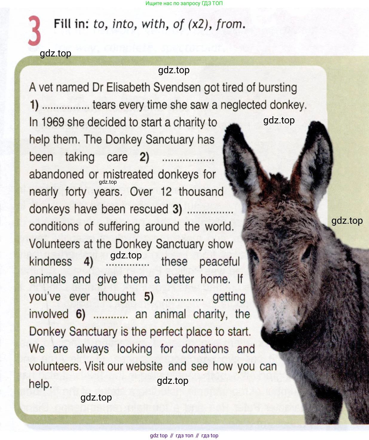 Английский язык (english), 9 класс Рабочая тетрадь (workbook), авторы: Ваулина Юлия Евгеньевна (Vaulina Julia), Дули Дженни (Dooley Jenny), Подоляко Ольга Евгеньевна (Podolyako Olga), Эванс Вирджиния (Evans Virginia), издательство Просвещение, Москва, 2024, страница 59, номер 3, Условие 2019-2023