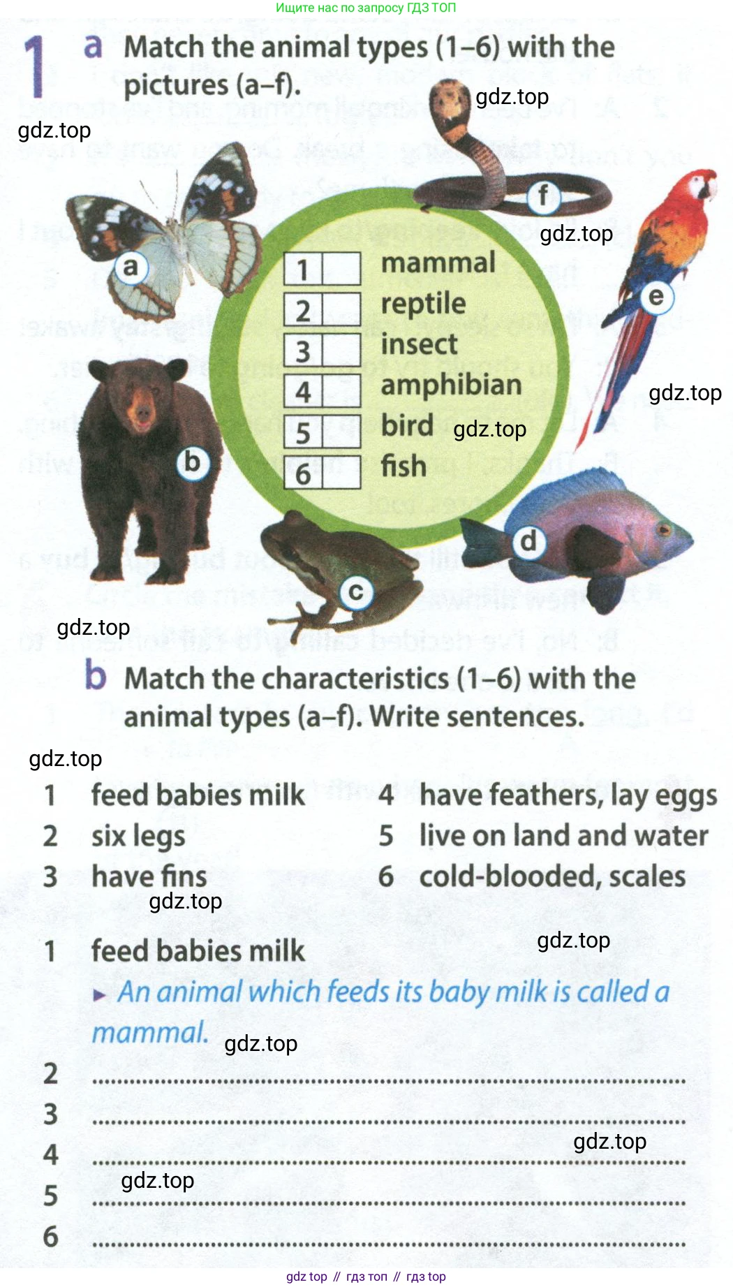Английский язык (english), 9 класс Рабочая тетрадь (workbook), авторы: Ваулина Юлия Евгеньевна (Vaulina Julia), Дули Дженни (Dooley Jenny), Подоляко Ольга Евгеньевна (Podolyako Olga), Эванс Вирджиния (Evans Virginia), издательство Просвещение, Москва, 2024, страница 21, номер 1, Условие 2024