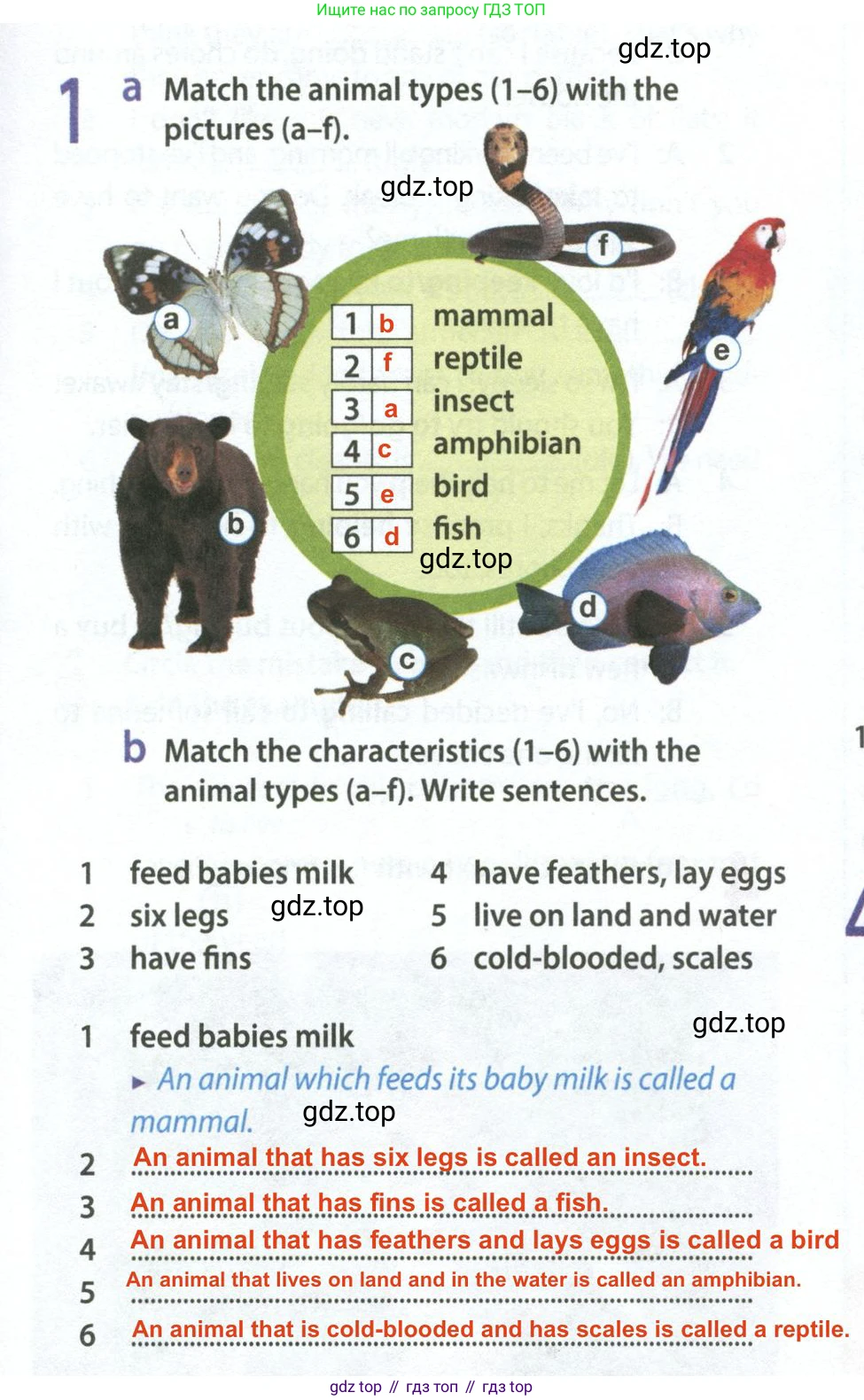 Английский язык (english), 9 класс Рабочая тетрадь (workbook), авторы: Ваулина Юлия Евгеньевна (Vaulina Julia), Дули Дженни (Dooley Jenny), Подоляко Ольга Евгеньевна (Podolyako Olga), Эванс Вирджиния (Evans Virginia), издательство Просвещение, Москва, 2024, страница 21, номер 1, Решение 2 (2024)
