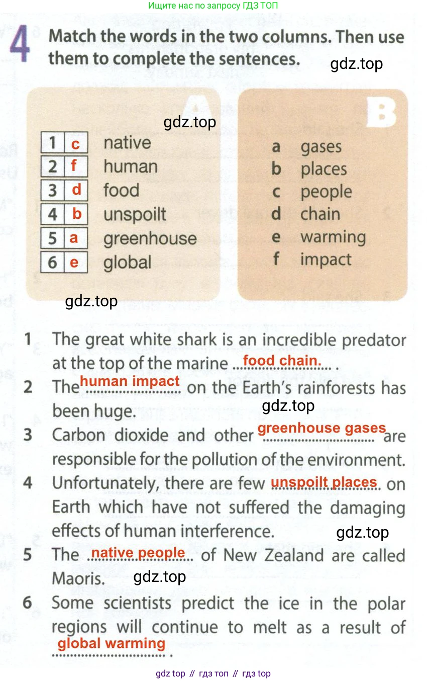 Английский язык (english), 9 класс Рабочая тетрадь (workbook), авторы: Ваулина Юлия Евгеньевна (Vaulina Julia), Дули Дженни (Dooley Jenny), Подоляко Ольга Евгеньевна (Podolyako Olga), Эванс Вирджиния (Evans Virginia), издательство Просвещение, Москва, 2024, страница 81, номер 4, Решение 2 (2024)