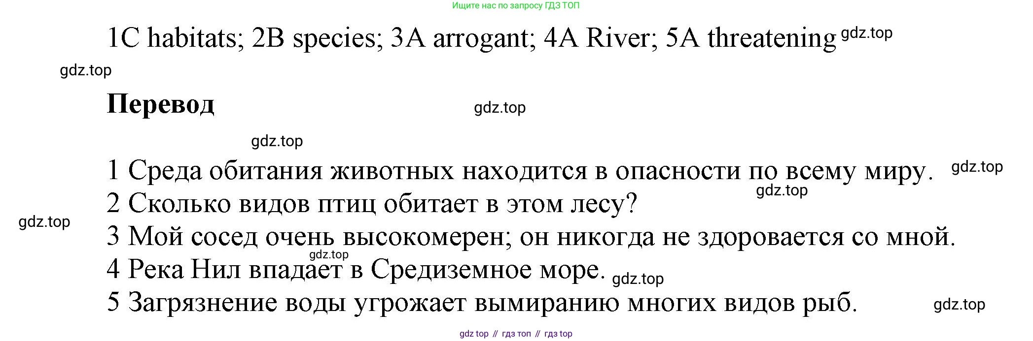 Английский язык (english), 9 класс Рабочая тетрадь (workbook), авторы: Ваулина Юлия Евгеньевна (Vaulina Julia), Дули Дженни (Dooley Jenny), Подоляко Ольга Евгеньевна (Podolyako Olga), Эванс Вирджиния (Evans Virginia), издательство Просвещение, Москва, 2024, страница 21, номер 2, Решение 3 (2024-2027) (продолжение 2)