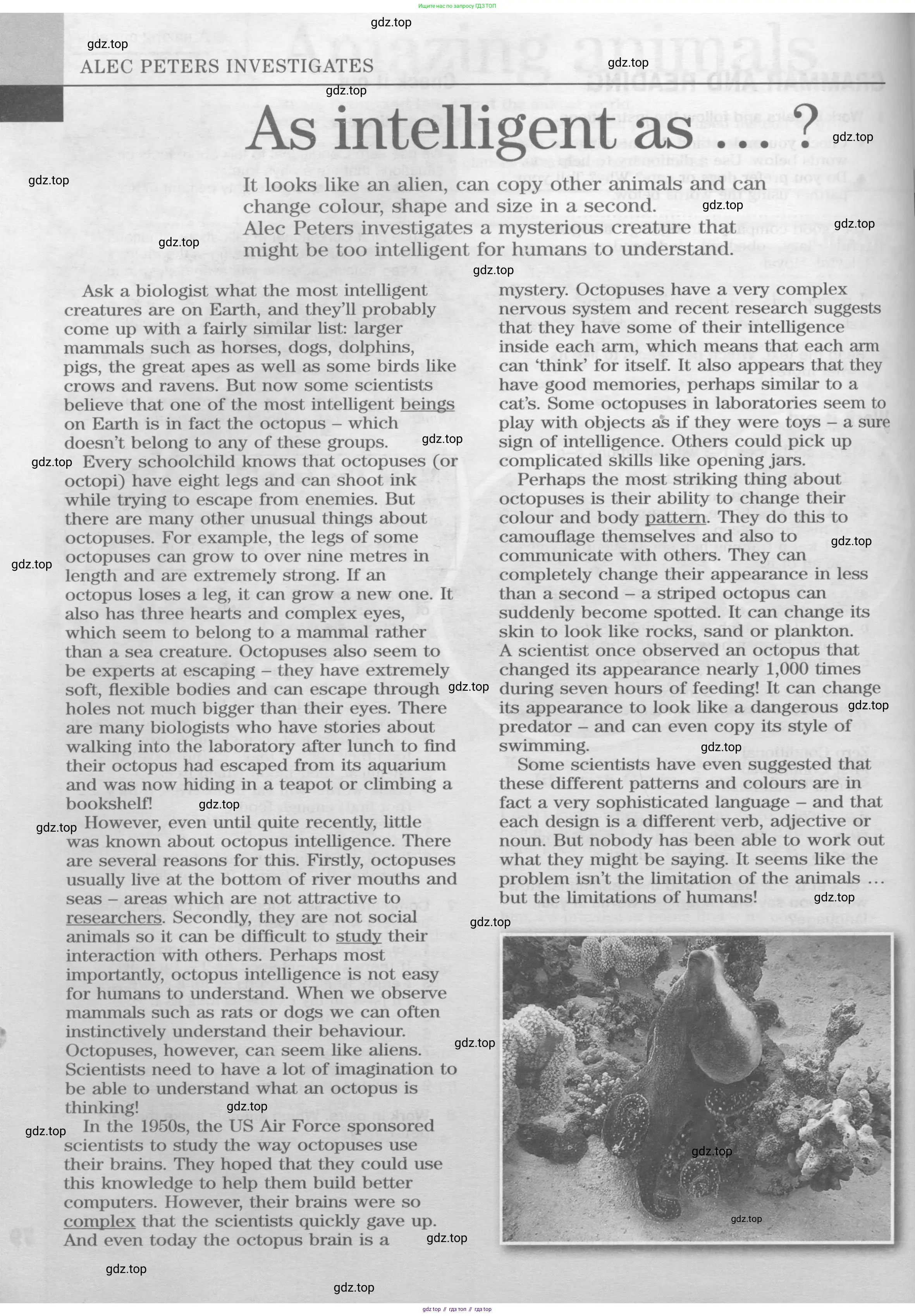 Английский язык (english), 9 класс Учебник (Student's book), авторы: Вербицкая Мария Валерьевна (Verbitskaya Maria), Маккинли Стюарт (McKinlay Stuart), Хастингс Боб (Hastings Bob), Миндрул Ольга Сергеевна (Mindrul Olga), Твердохлебова Ирина Петровна (Tverdohlebova Irina), издательство Просвещение, Москва, 2016, страница 80