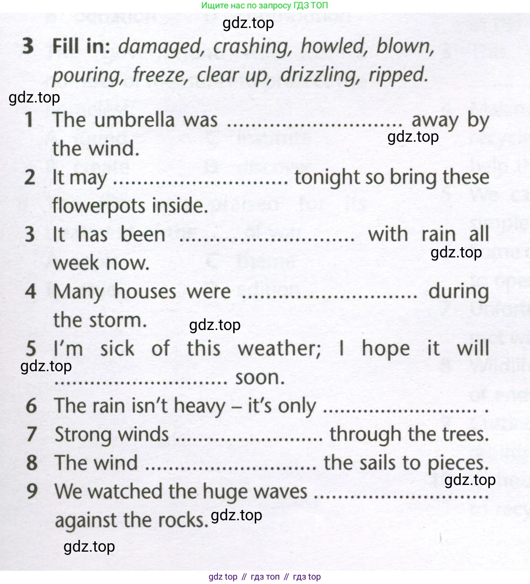 Английский язык (english), 10 класс Лексический практикум (vocabulary practice), авторы: Баранова Ксения Михайловна (Baranova Ksenia), Дули Дженни (Dooley Jenny), Копылова Виктория Викторовна (Kopylova Victoria), Мильруд Радислав Петрович (Millrood Radislav), Эванс Вирджиния (Evans Virginia), издательство Просвещение, Москва, 2019, серого цвета, страница 19, номер 3, Условие