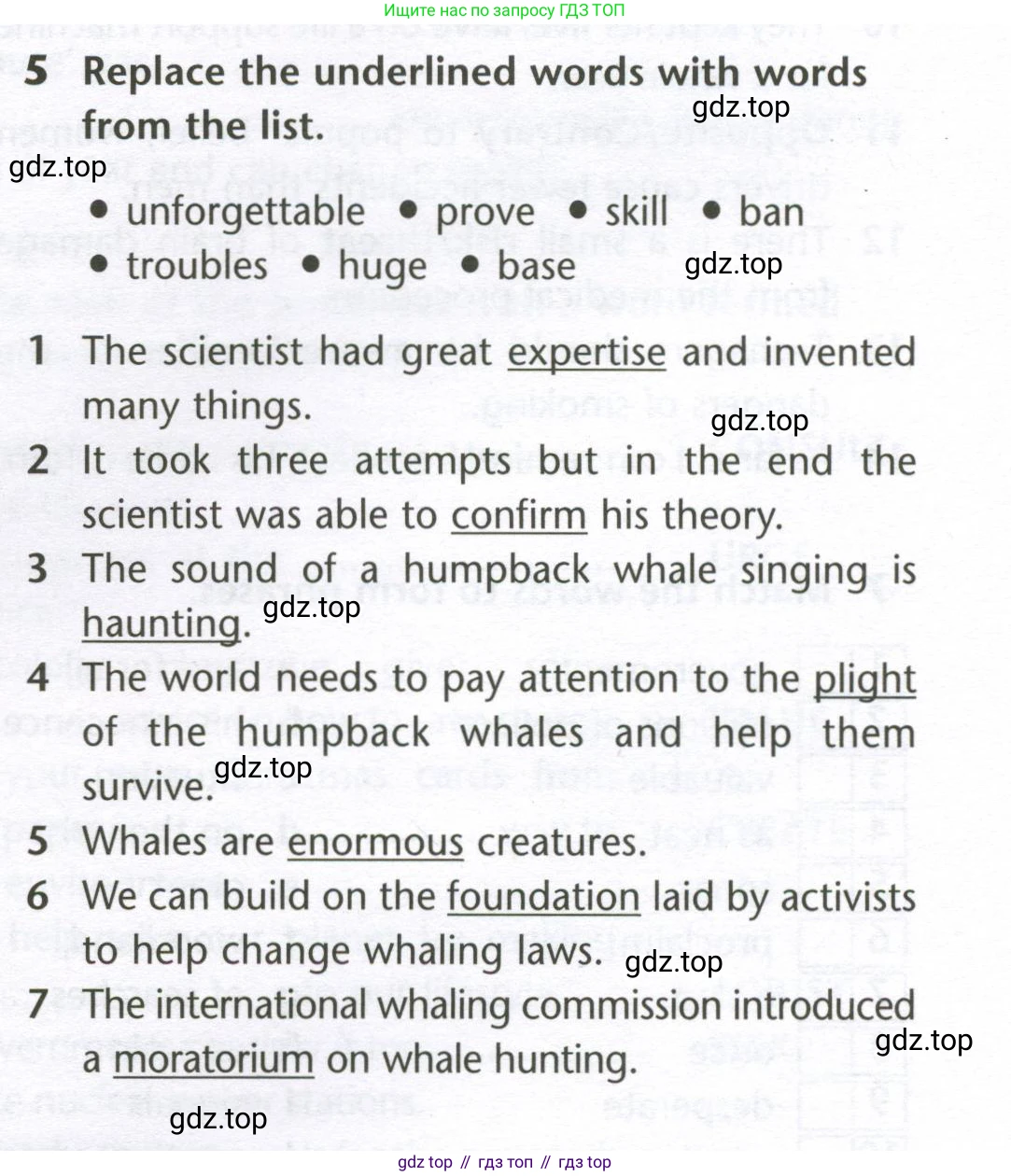 Английский язык (english), 10 класс Лексический практикум (vocabulary practice), авторы: Баранова Ксения Михайловна (Baranova Ksenia), Дули Дженни (Dooley Jenny), Копылова Виктория Викторовна (Kopylova Victoria), Мильруд Радислав Петрович (Millrood Radislav), Эванс Вирджиния (Evans Virginia), издательство Просвещение, Москва, 2019, серого цвета, страница 19, номер 5, Условие