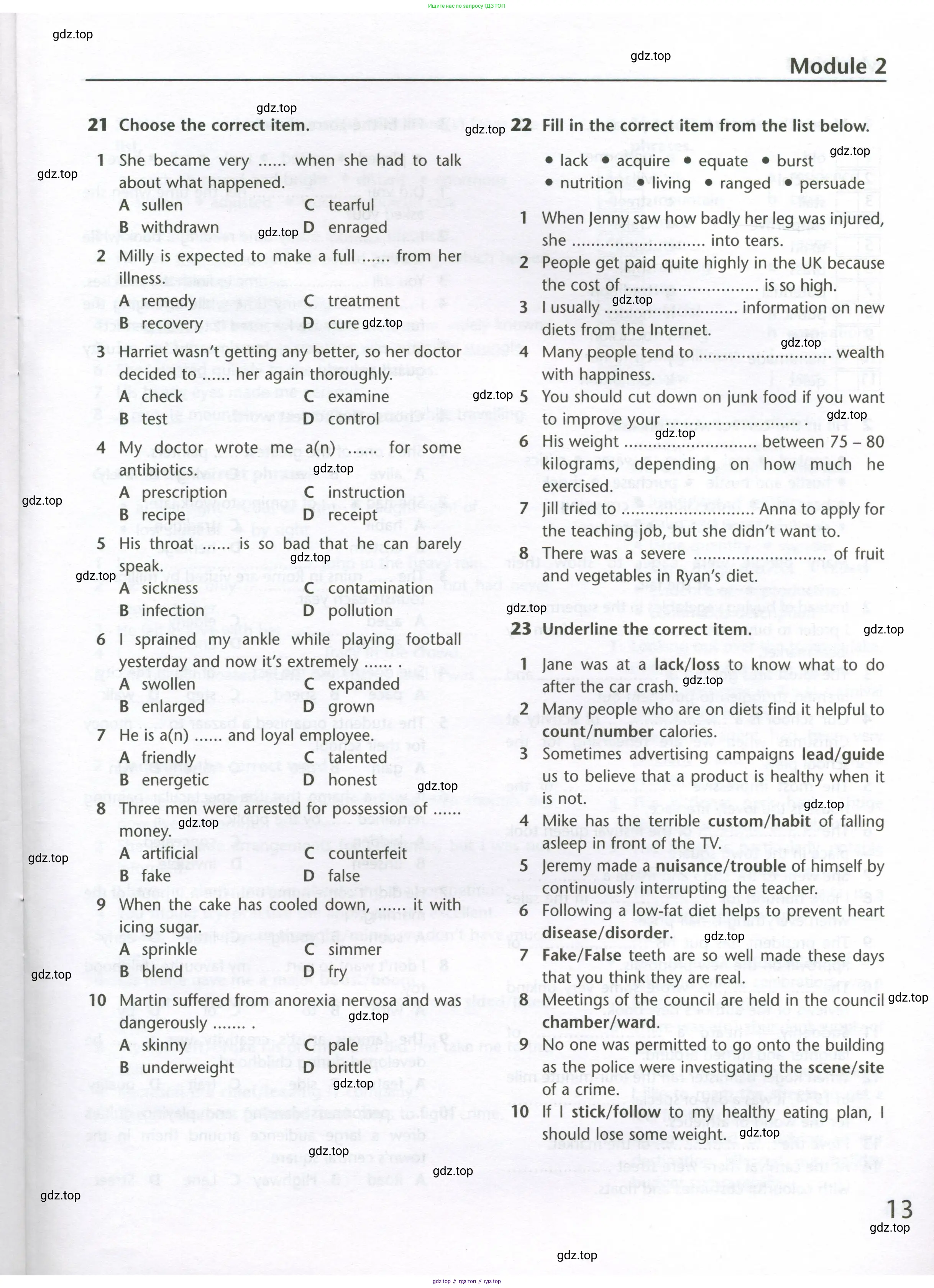 Английский язык (english), 10 класс Лексический практикум (vocabulary practice), авторы: Баранова Ксения Михайловна (Baranova Ksenia), Дули Дженни (Dooley Jenny), Копылова Виктория Викторовна (Kopylova Victoria), Мильруд Радислав Петрович (Millrood Radislav), Эванс Вирджиния (Evans Virginia), издательство Просвещение, Москва, 2019, серого цвета, страница 13
