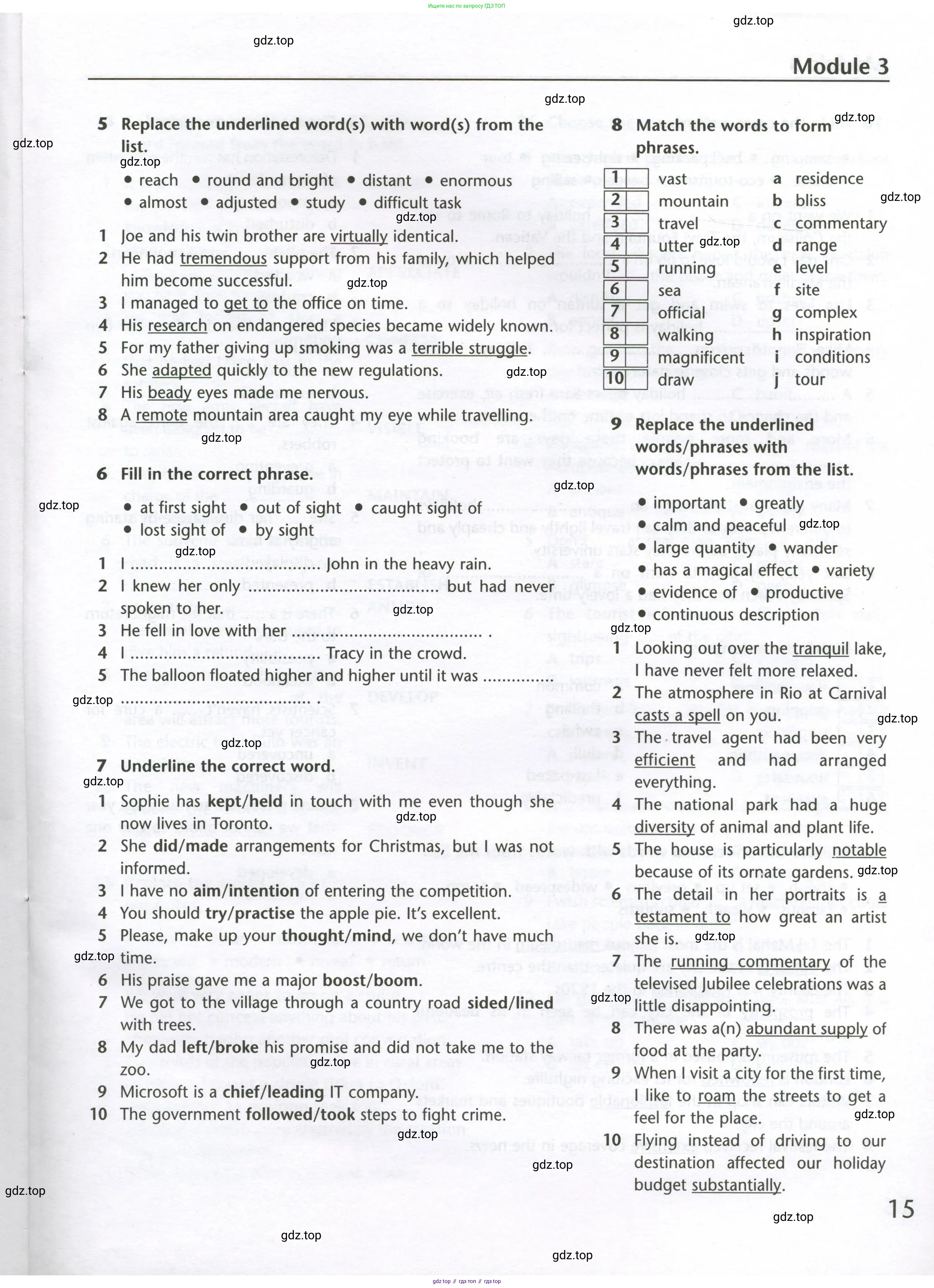 Английский язык (english), 10 класс Лексический практикум (vocabulary practice), авторы: Баранова Ксения Михайловна (Baranova Ksenia), Дули Дженни (Dooley Jenny), Копылова Виктория Викторовна (Kopylova Victoria), Мильруд Радислав Петрович (Millrood Radislav), Эванс Вирджиния (Evans Virginia), издательство Просвещение, Москва, 2019, серого цвета, страница 15