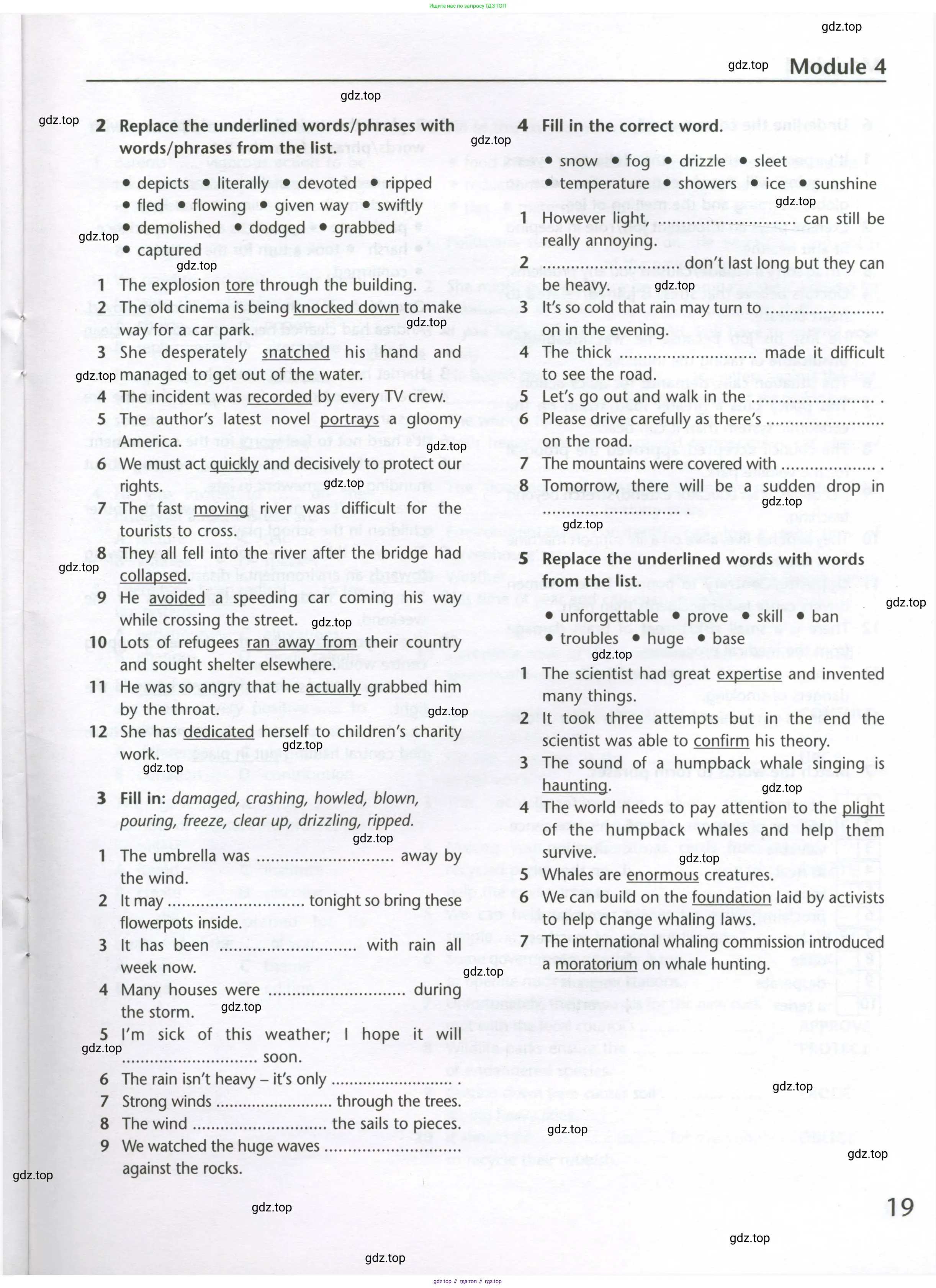 Английский язык (english), 10 класс Лексический практикум (vocabulary practice), авторы: Баранова Ксения Михайловна (Baranova Ksenia), Дули Дженни (Dooley Jenny), Копылова Виктория Викторовна (Kopylova Victoria), Мильруд Радислав Петрович (Millrood Radislav), Эванс Вирджиния (Evans Virginia), издательство Просвещение, Москва, 2019, серого цвета, страница 19